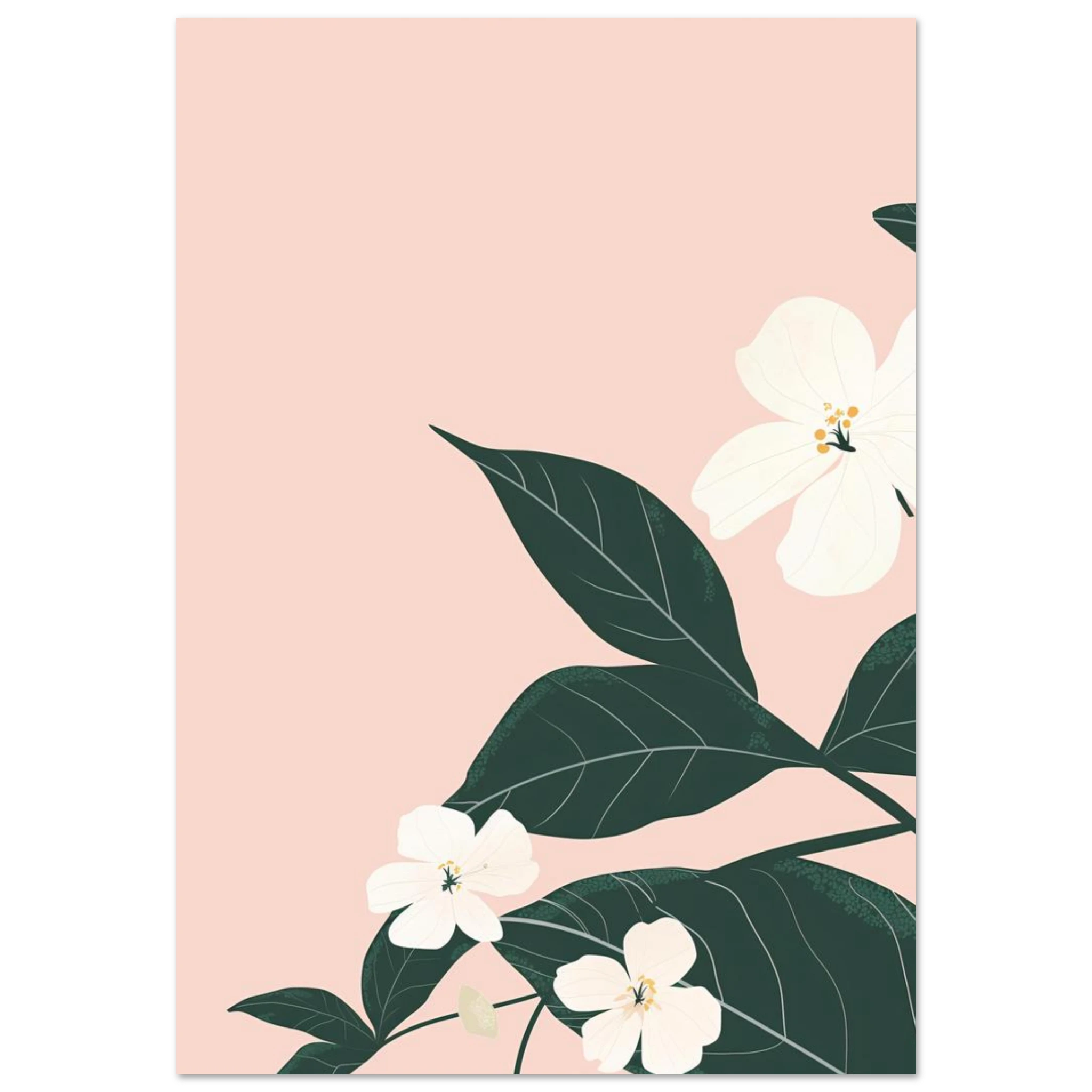 #70 x 100 cm