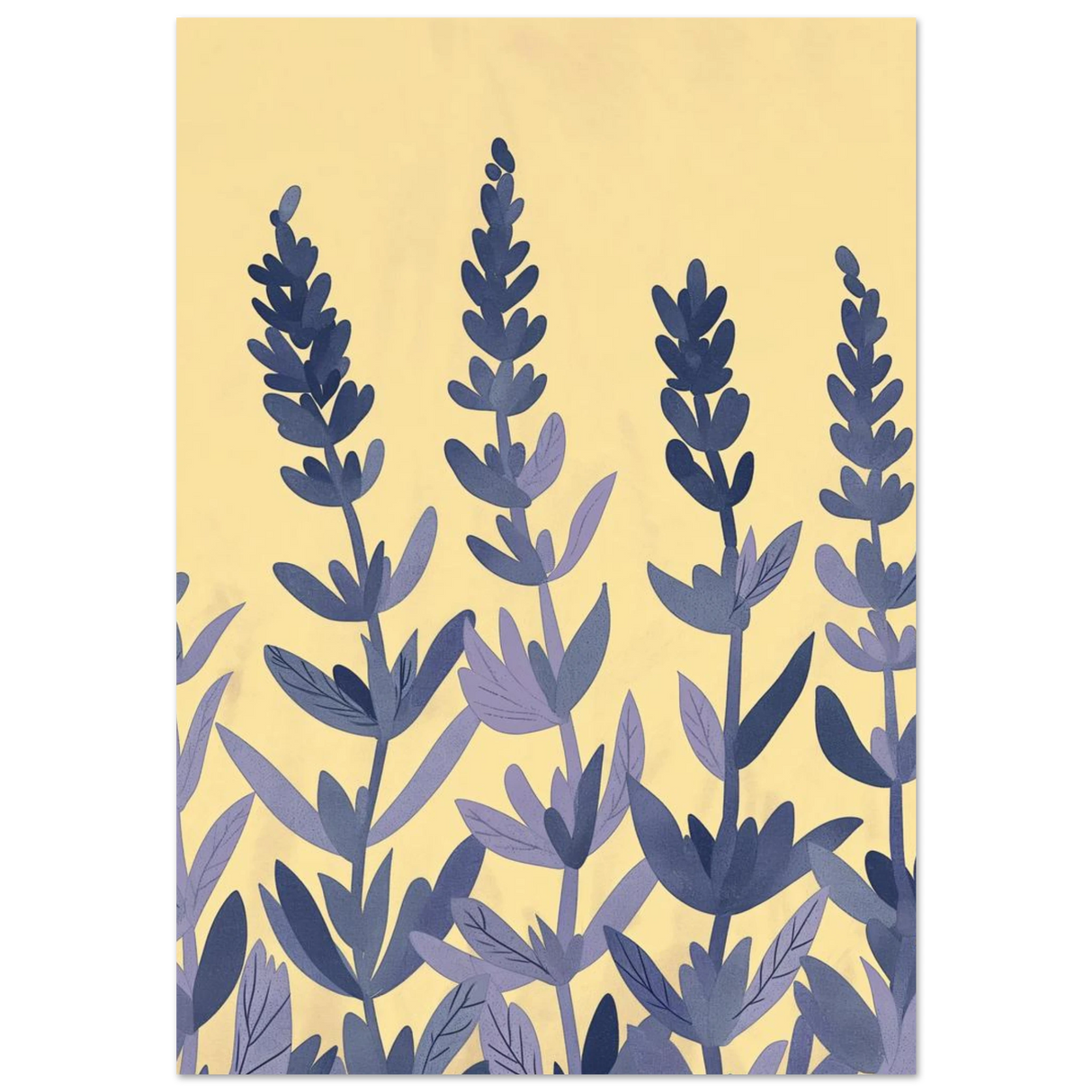 #70 x 100 cm