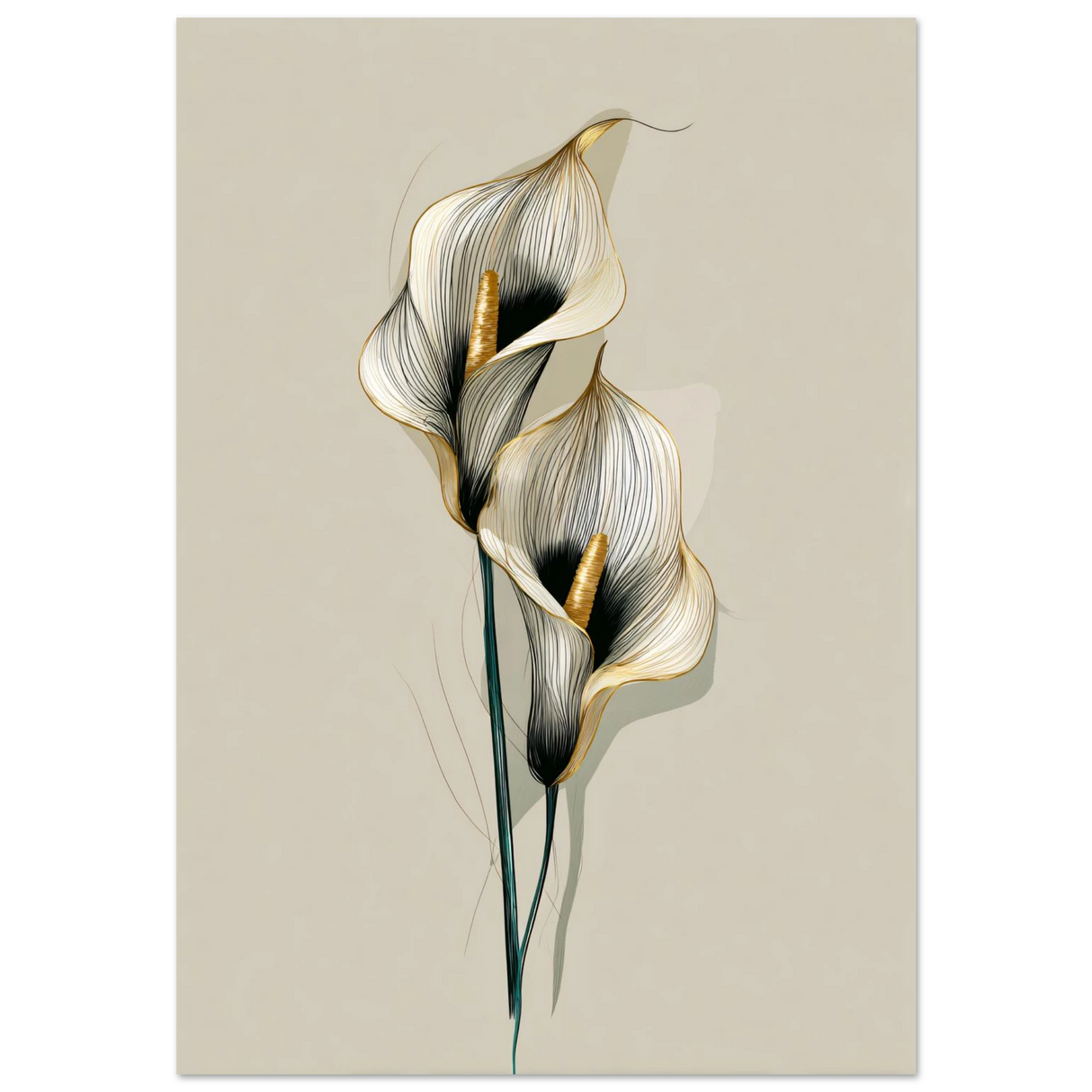 #70 x 100 cm