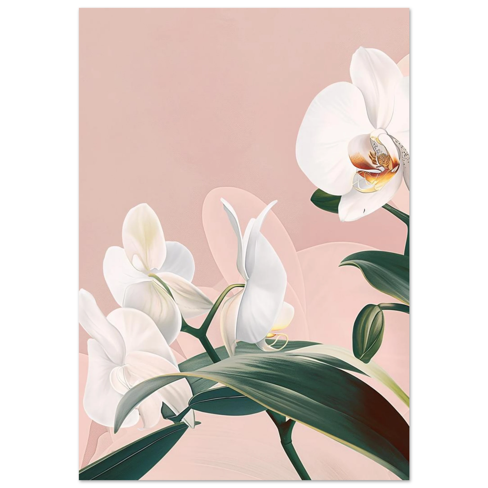 #70 x 100 cm