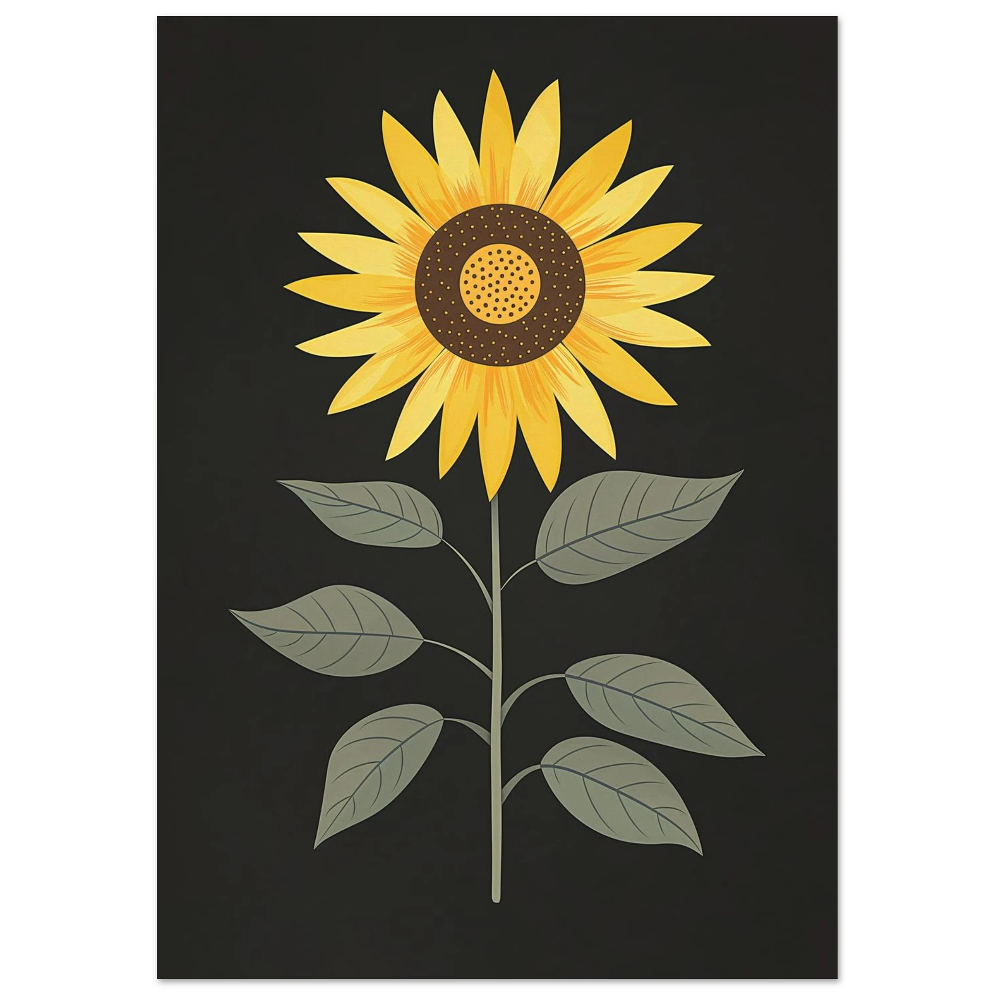 #21 x 29.7 cm