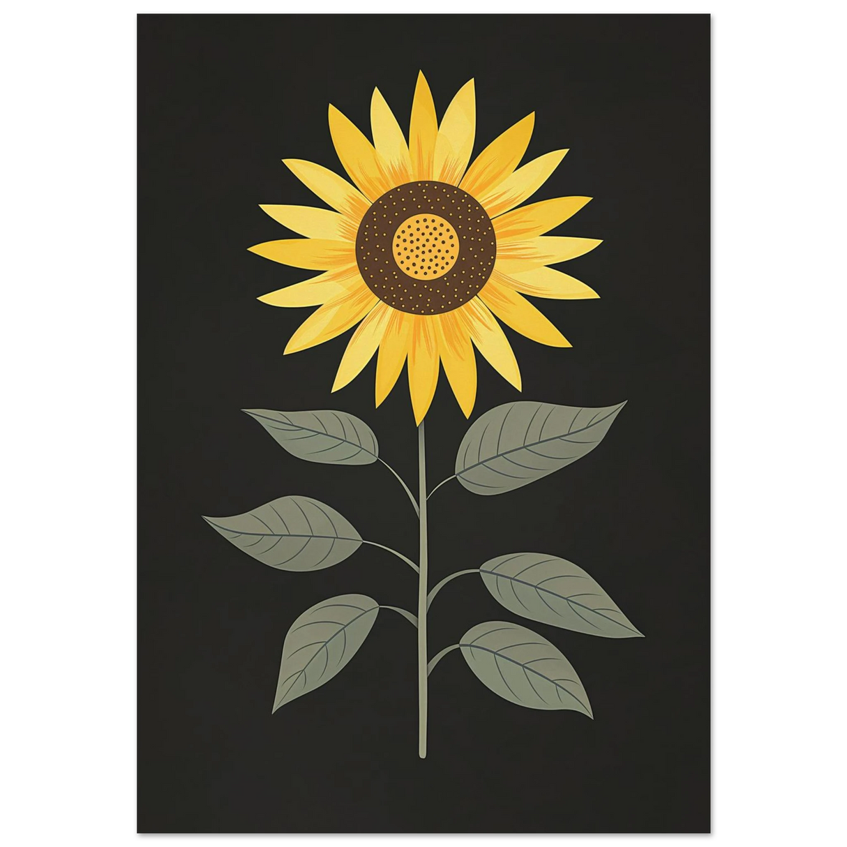 #70 x 100 cm