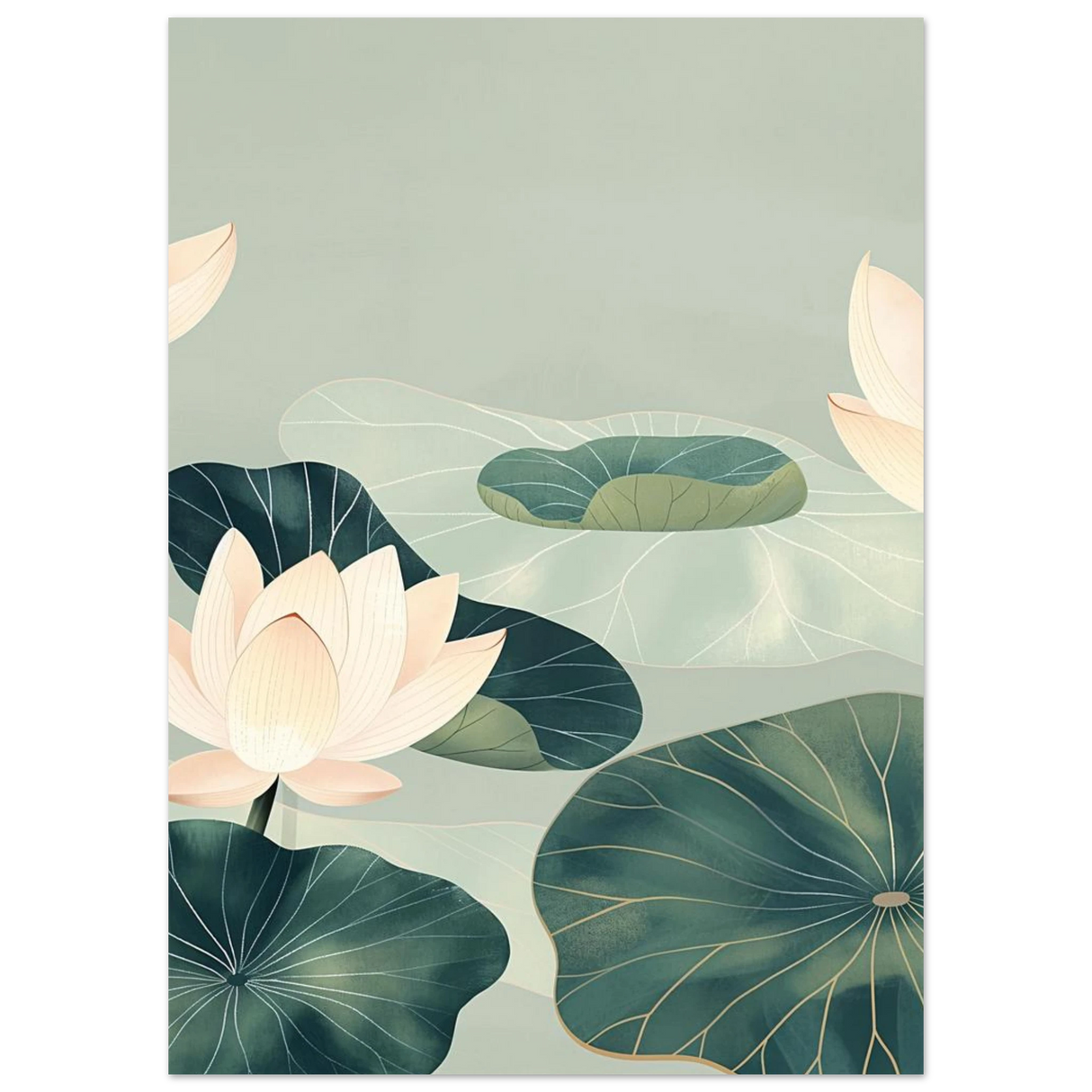 #50 x 70 cm