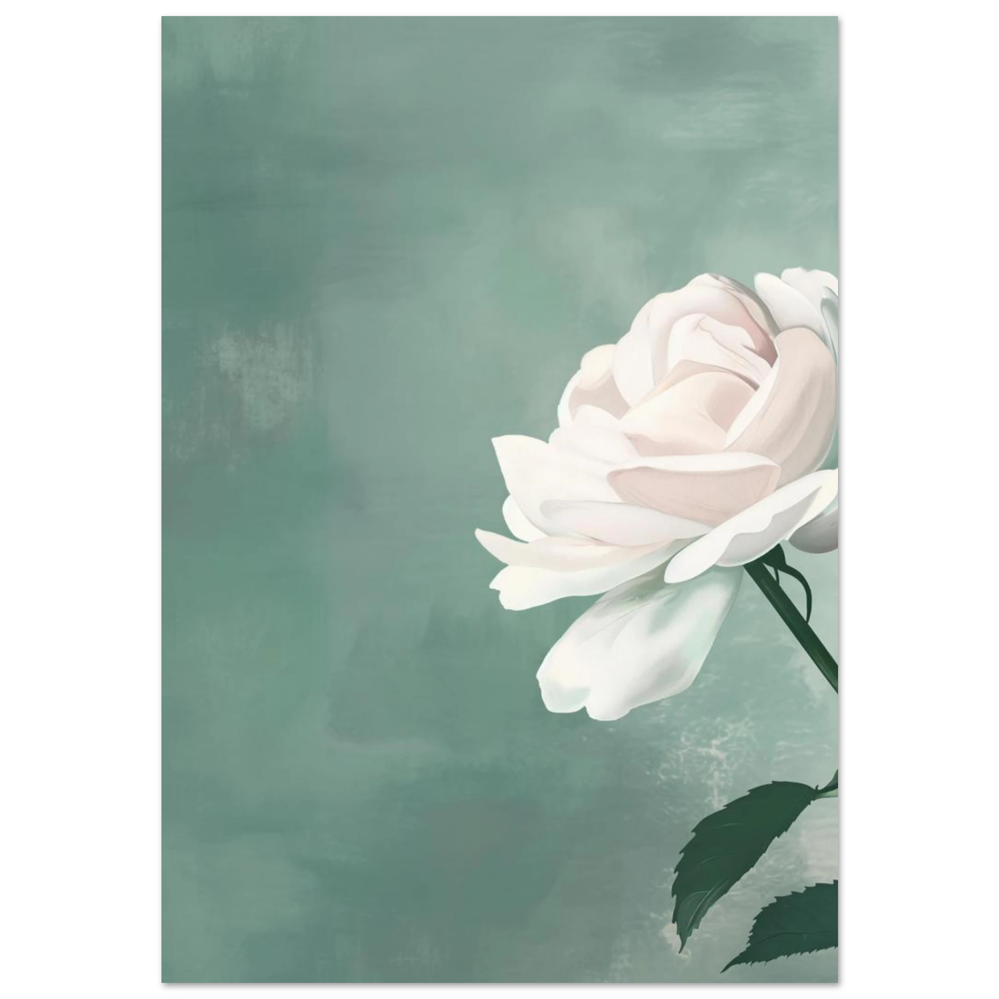 #70 x 100 cm