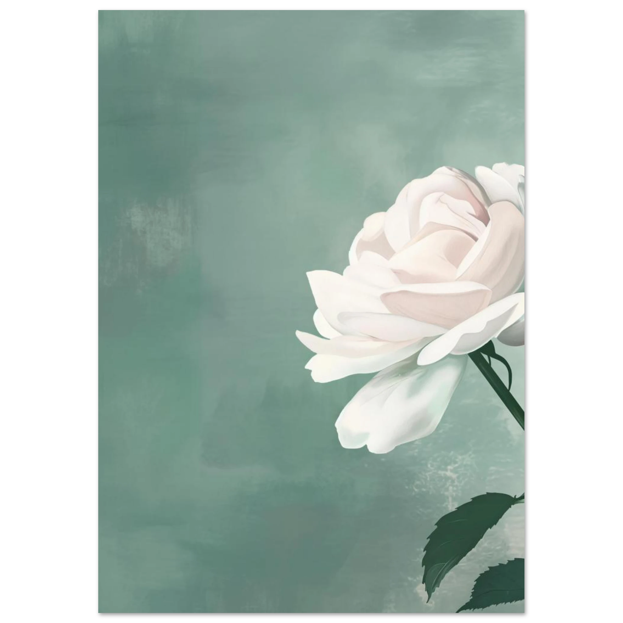 #21 x 29.7 cm