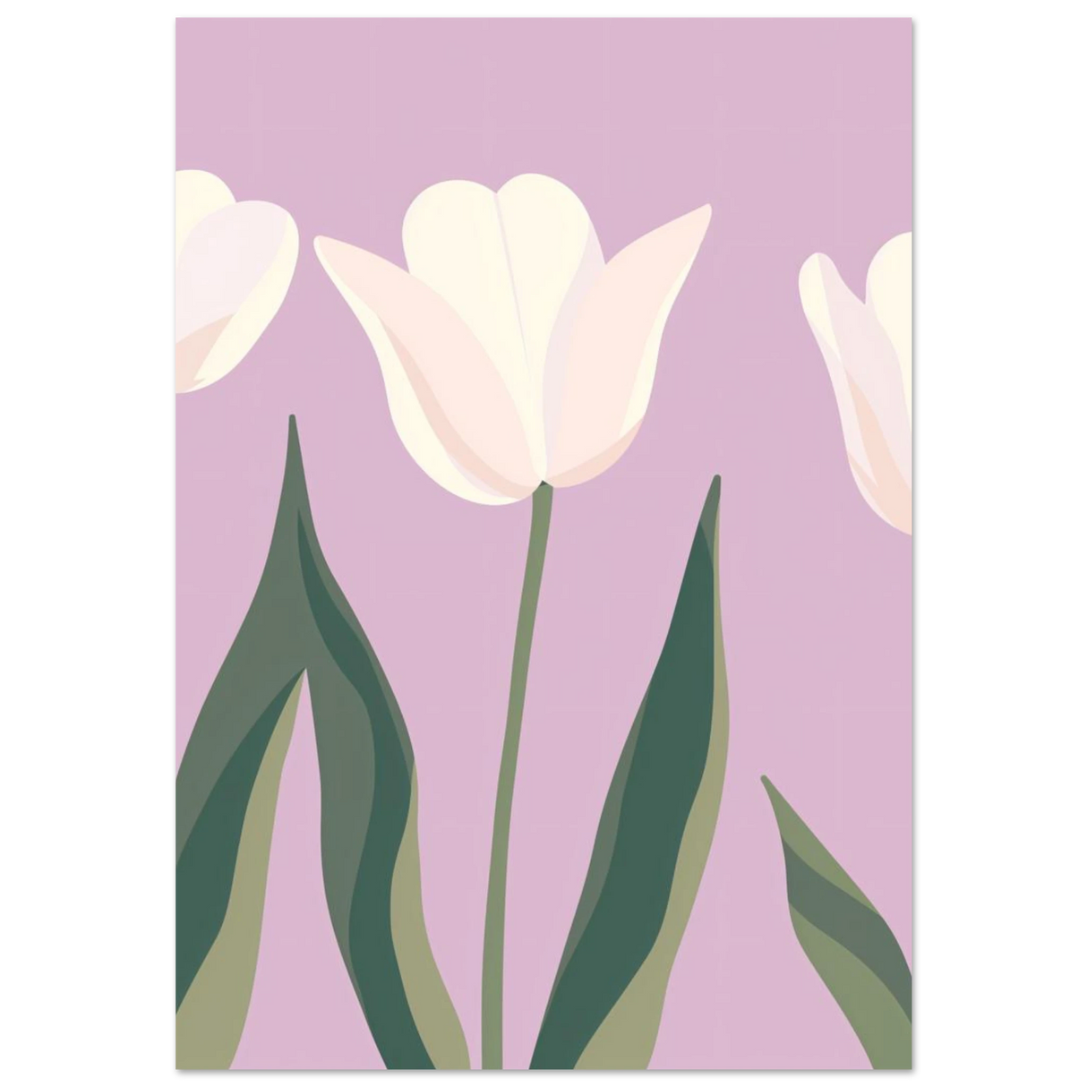 #70 x 100 cm