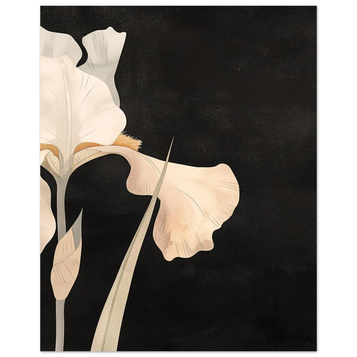 #40 x 50 cm