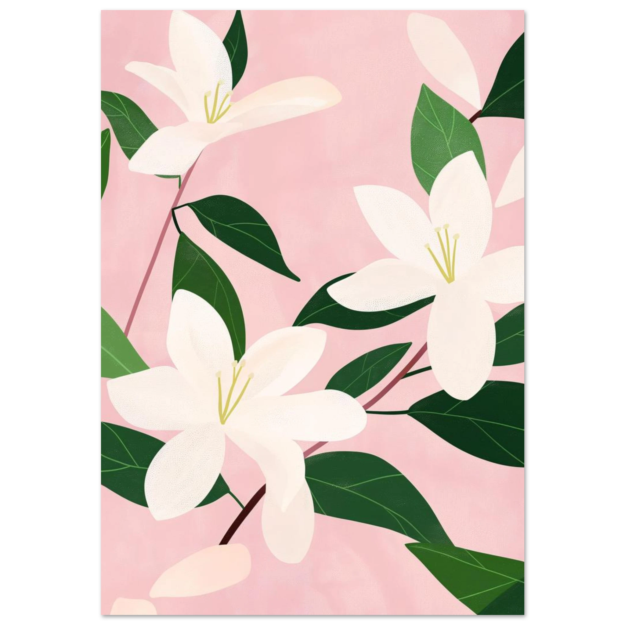 #70 x 100 cm