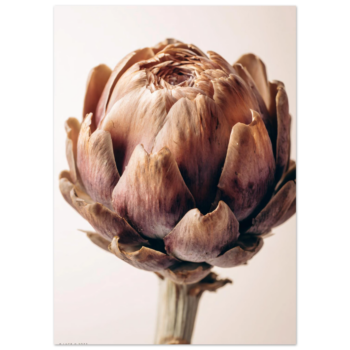 #40 x 50 cm