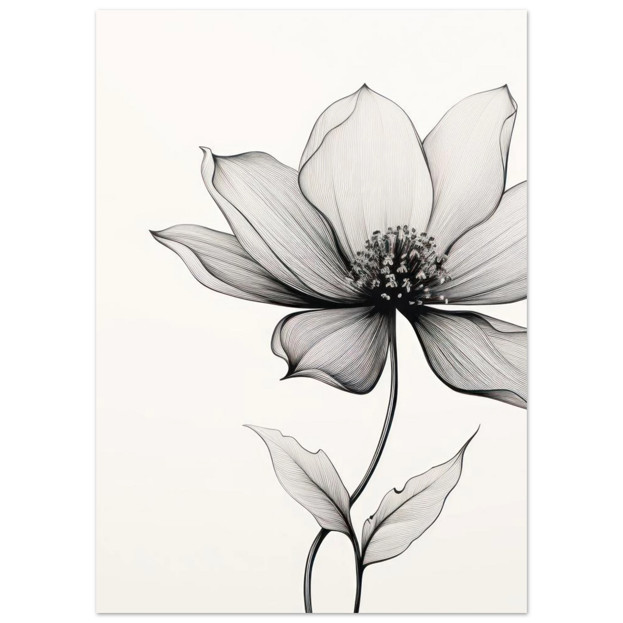 #70 x 100 cm