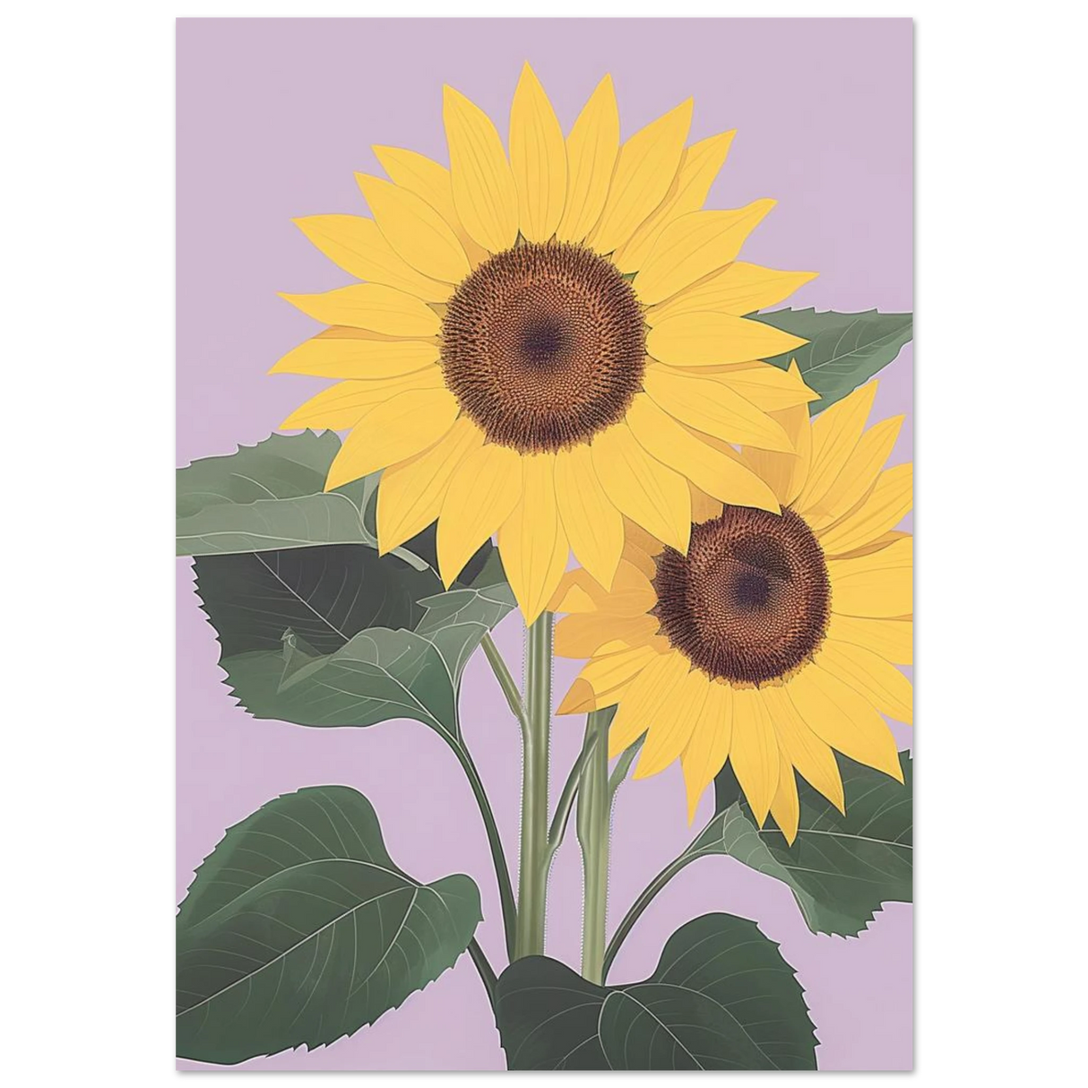 #70 x 100 cm