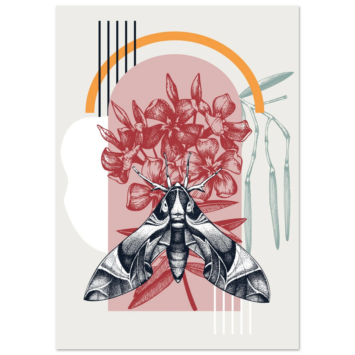 #21 x 29.7 cm