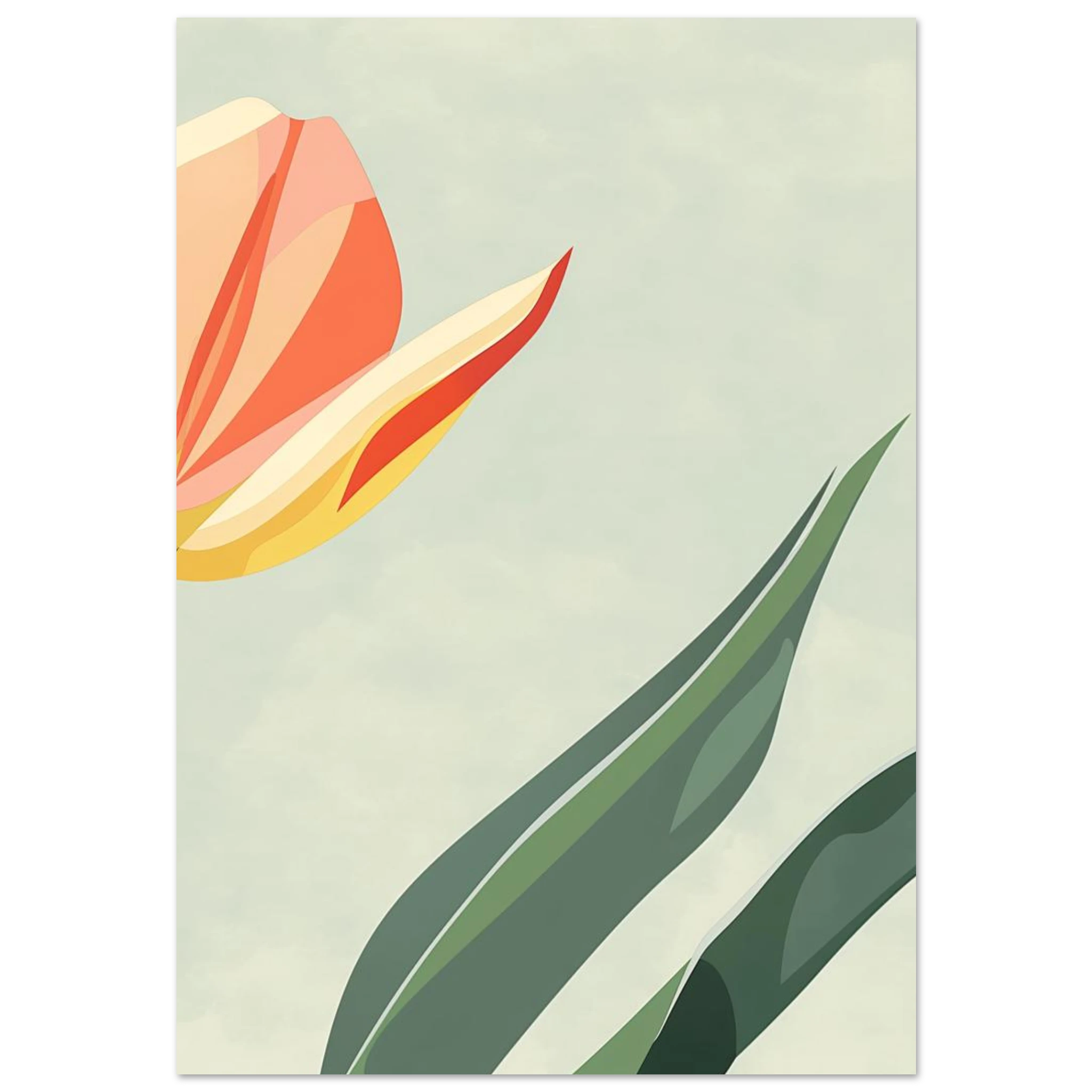 #70 x 100 cm