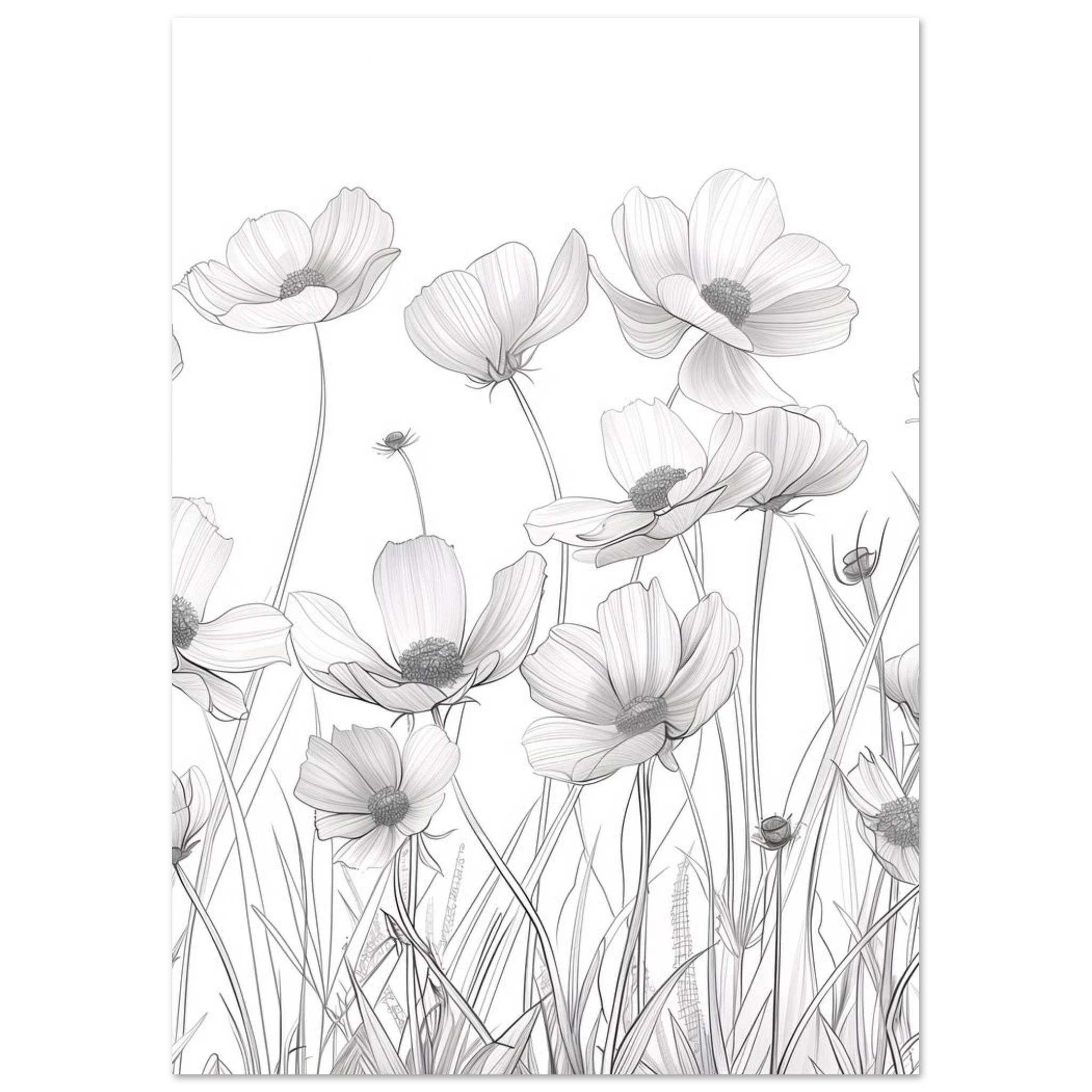 #21 x 29.7 cm