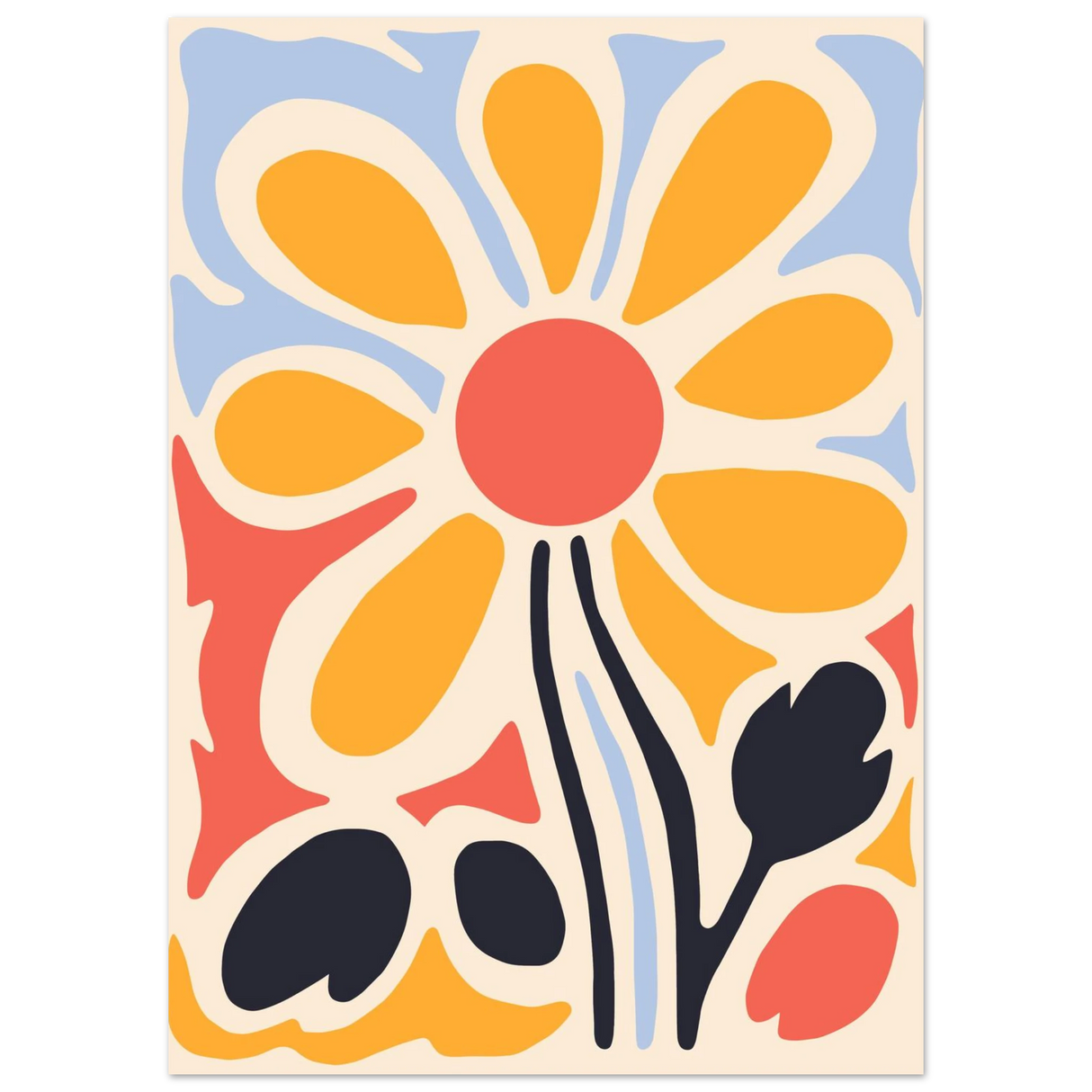 #50 x 70 cm