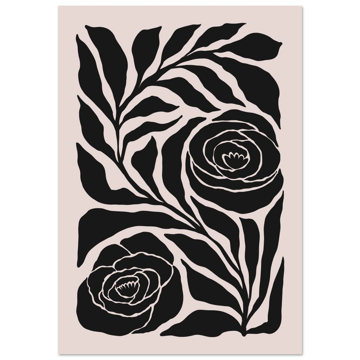 #70 x 100 cm