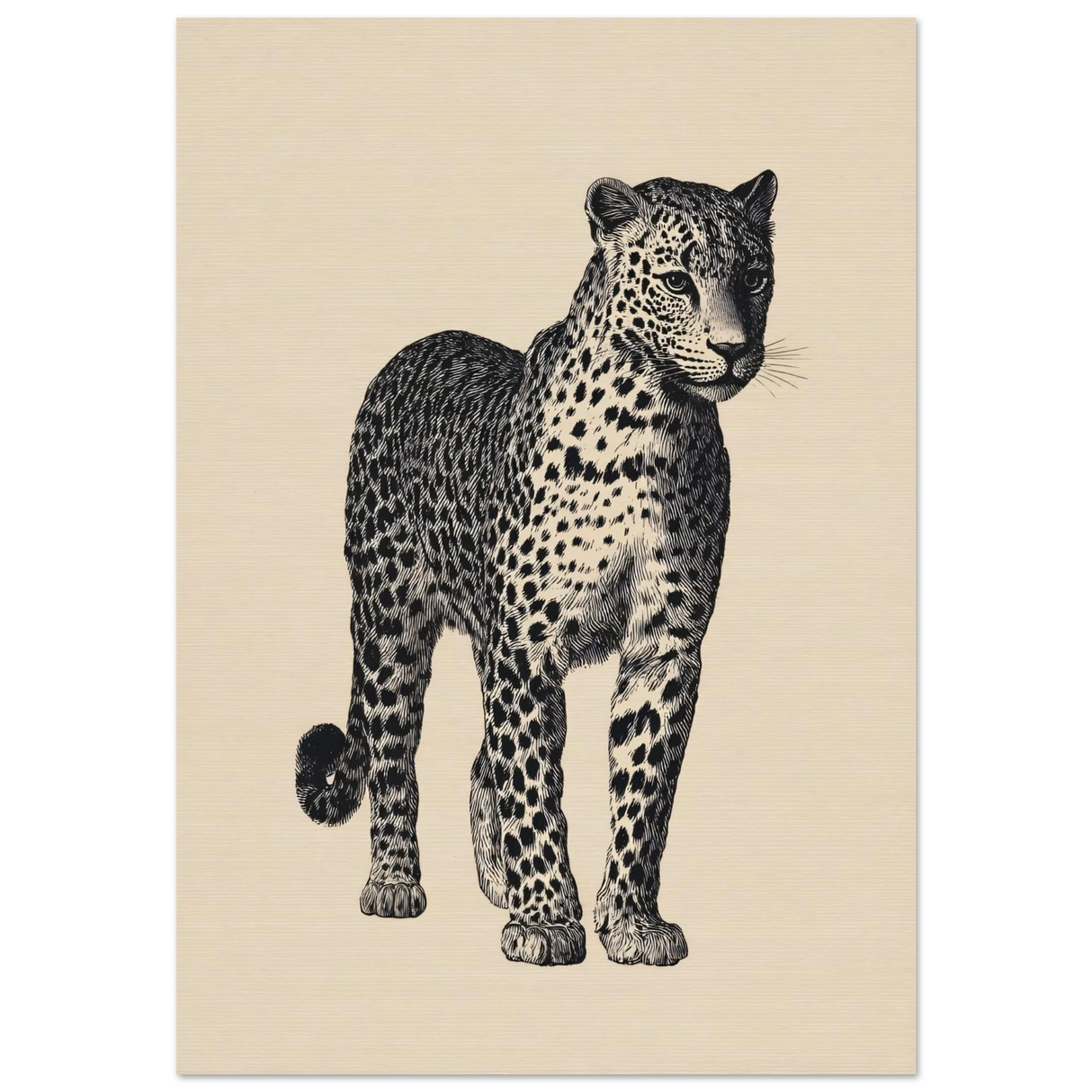 #70 x 100 cm