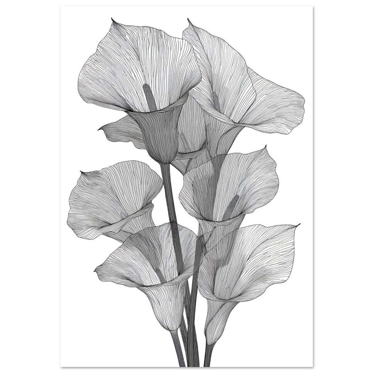 #70 x 100 cm