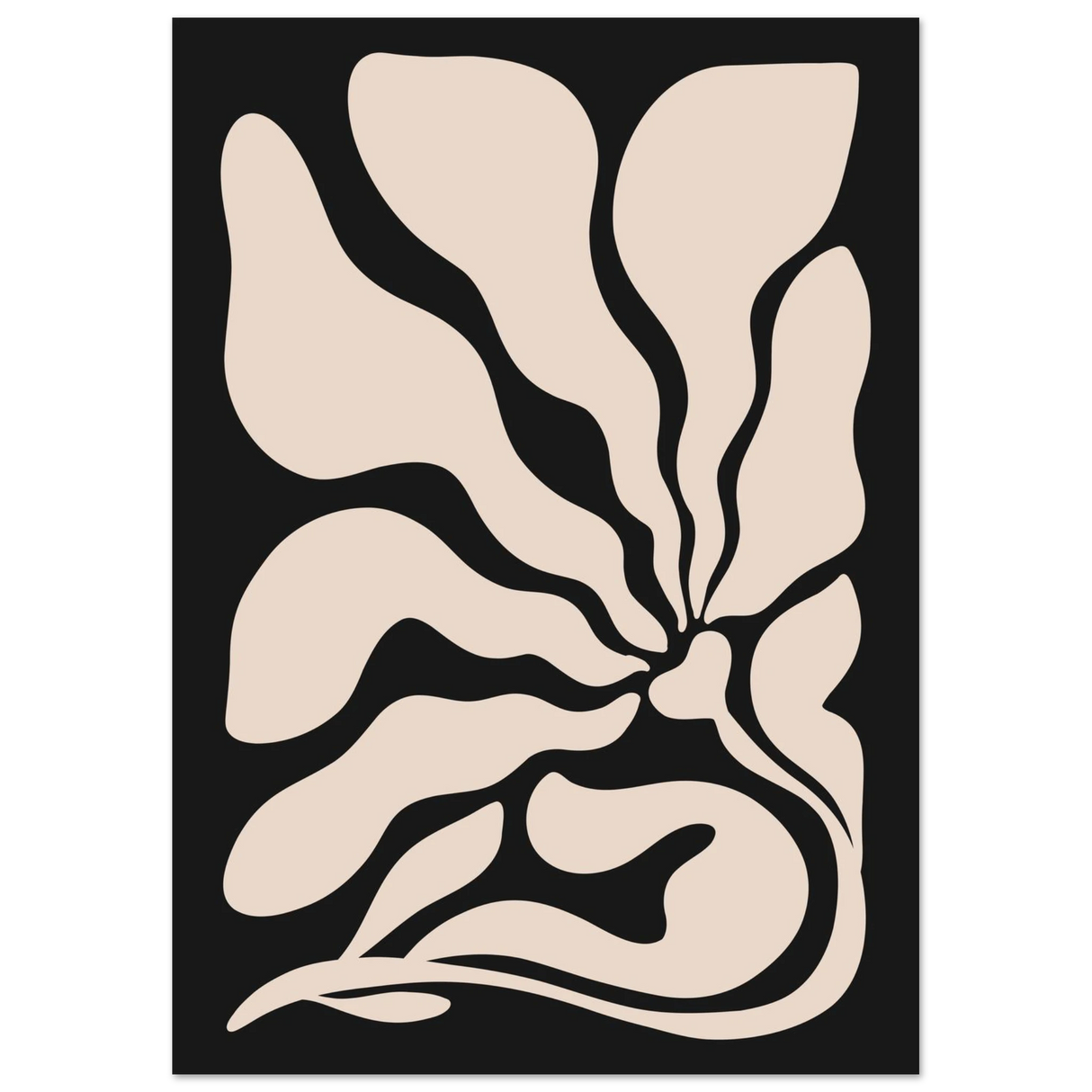 #21 x 29.7 cm