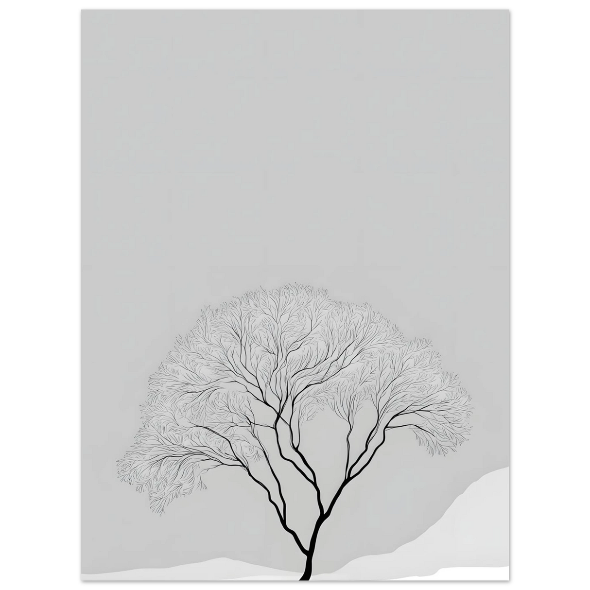 #50 x 70 cm