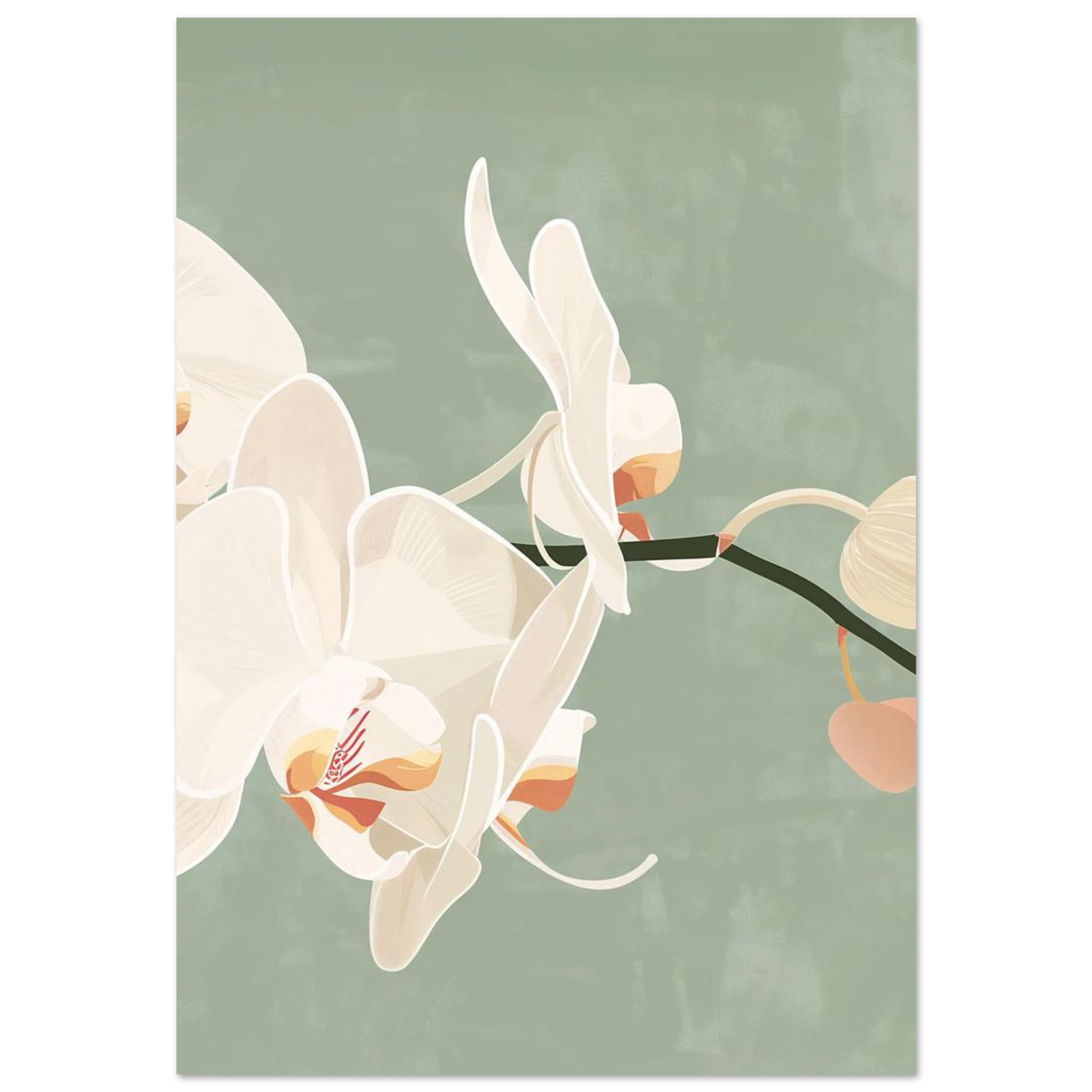 #70 x 100 cm