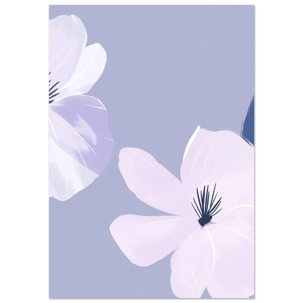 #70 x 100 cm