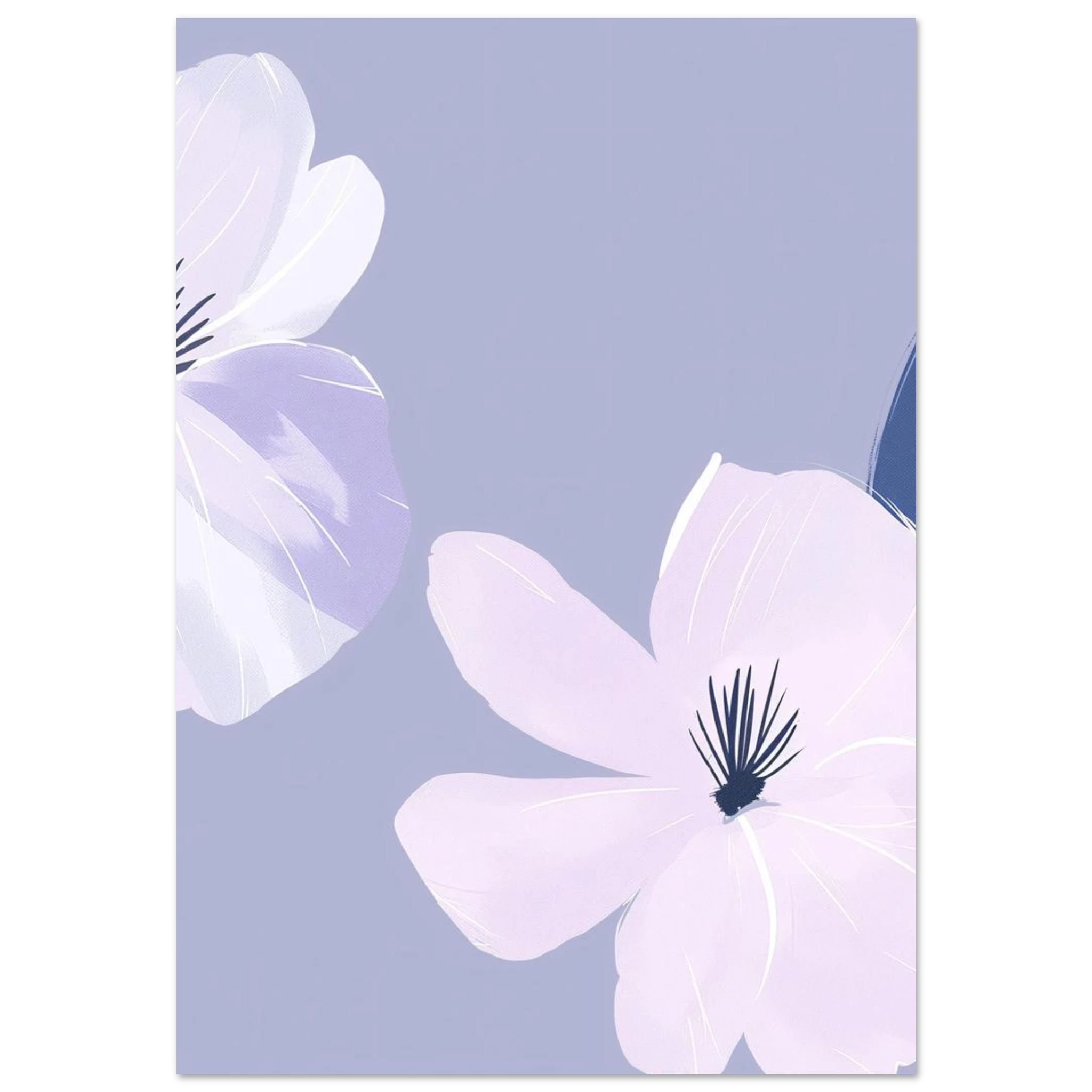 #70 x 100 cm