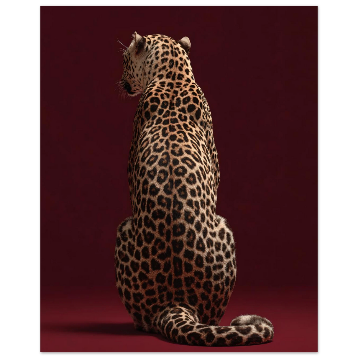 #70 x 100 cm