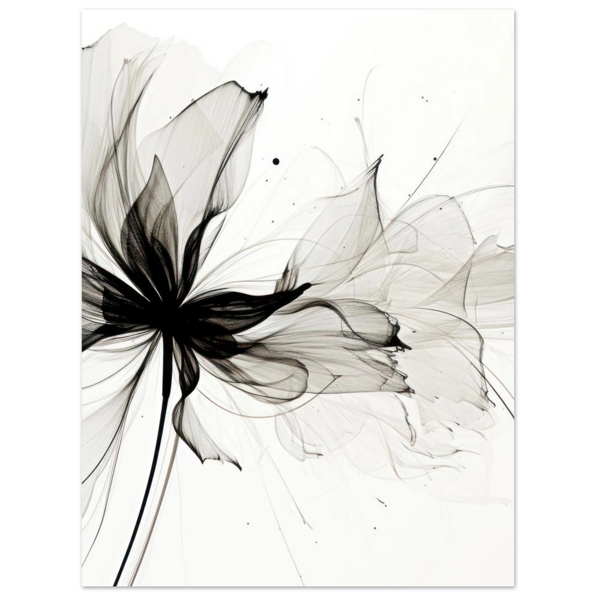 #50 x 70 cm