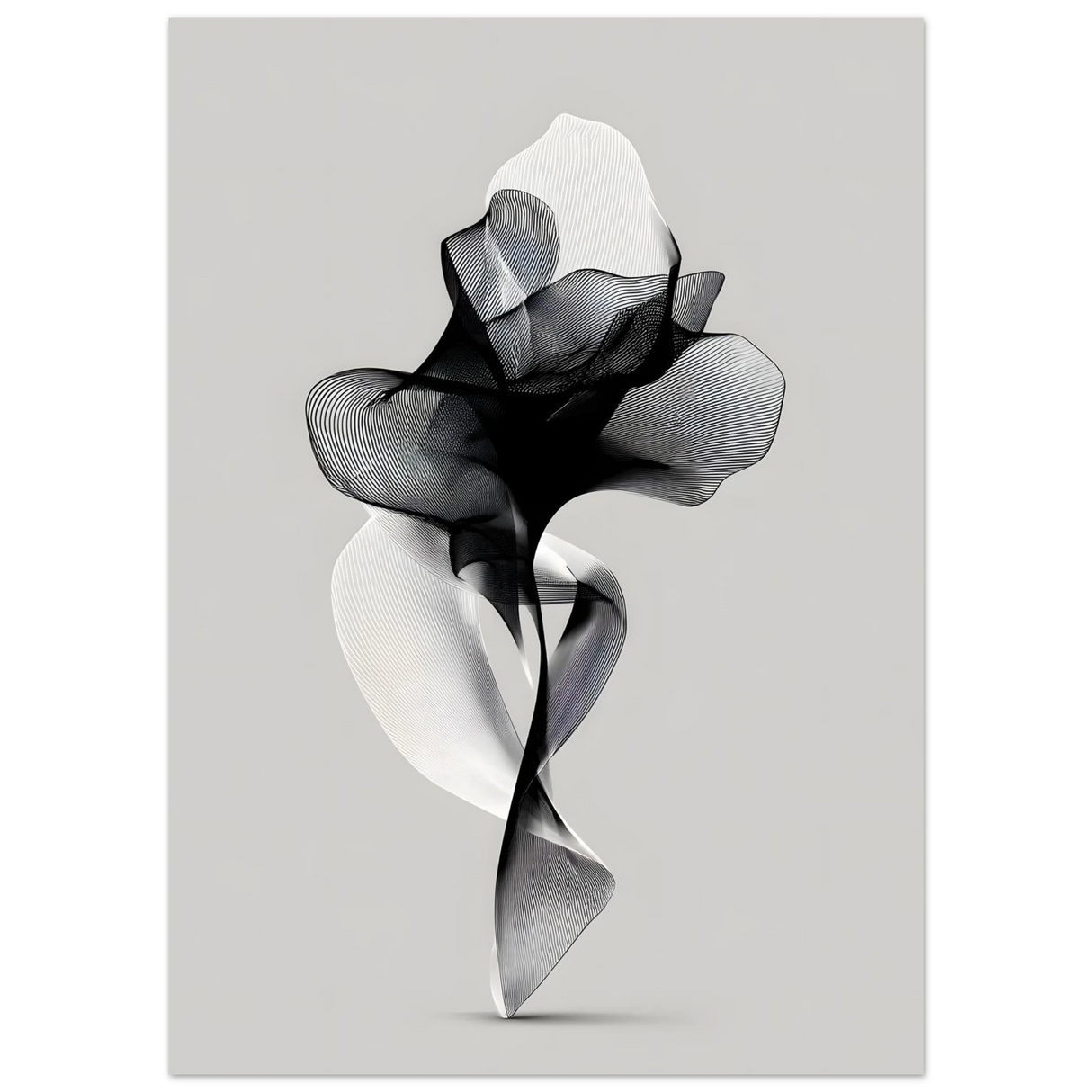 #70 x 100 cm