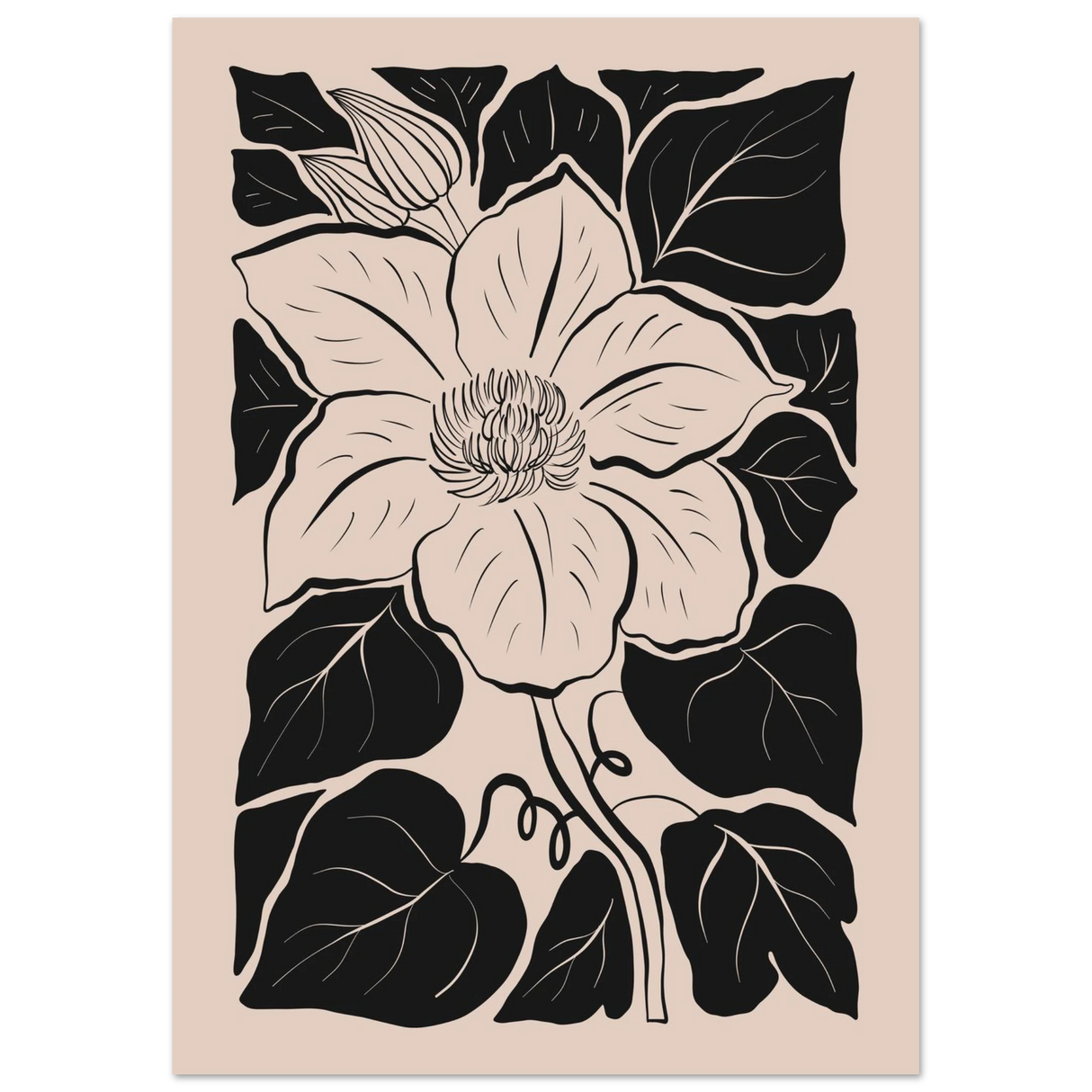 #21 x 29.7 cm