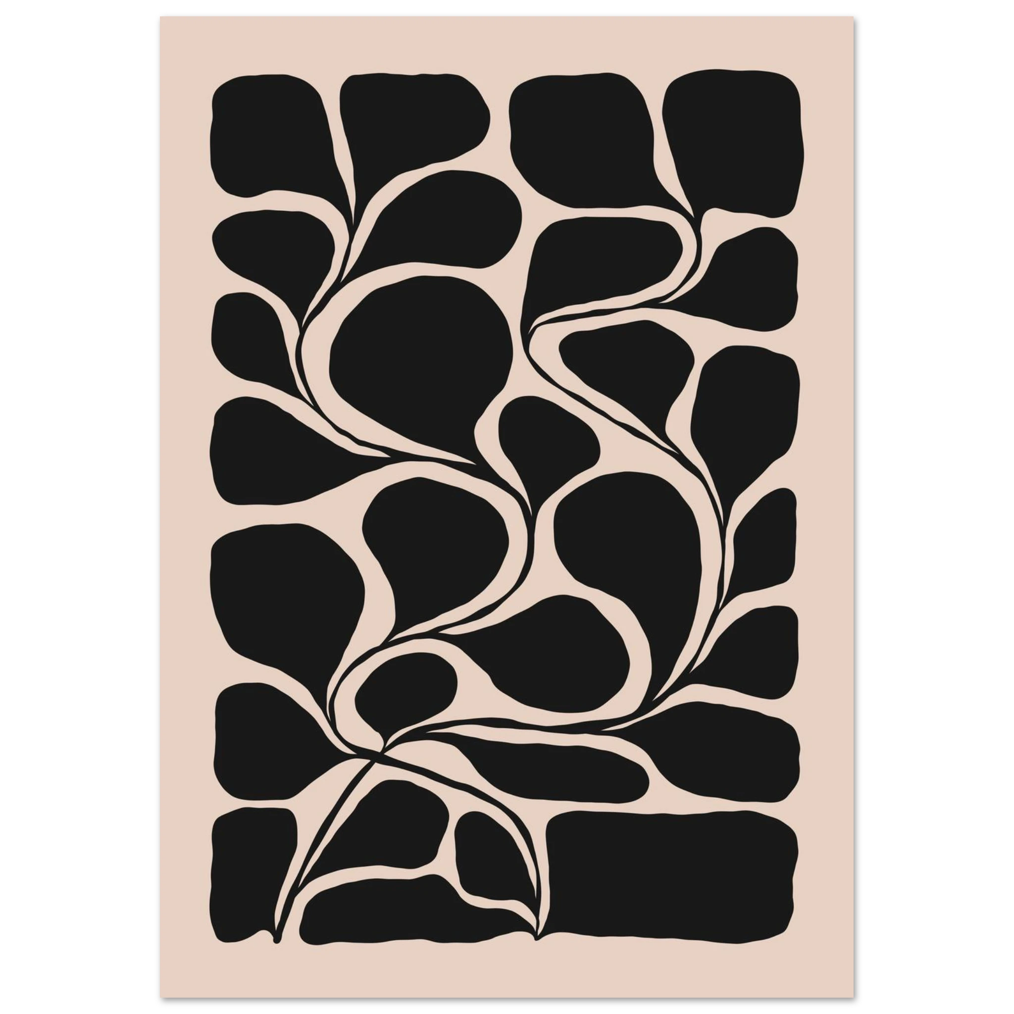 #21 x 29.7 cm