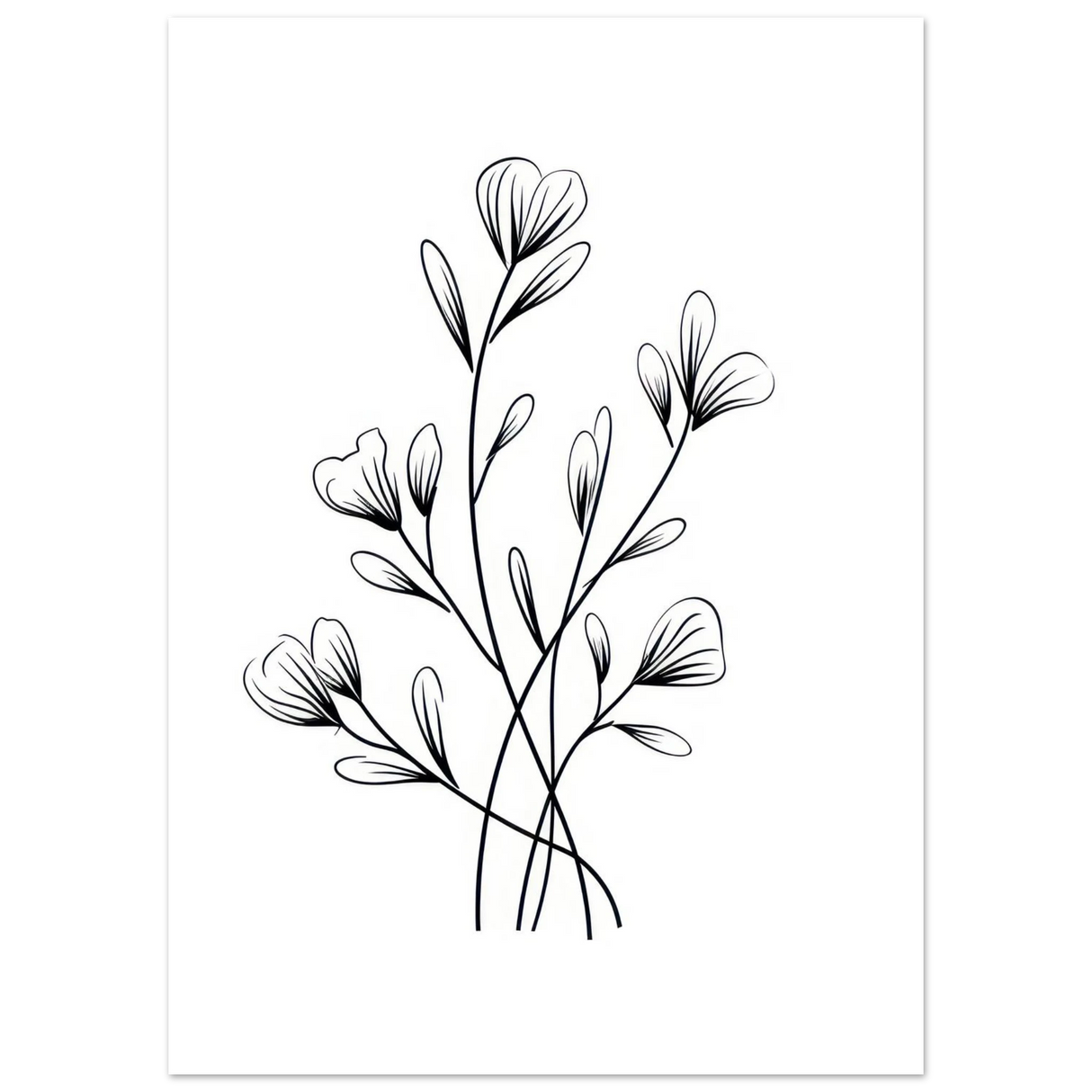 #70 x 100 cm