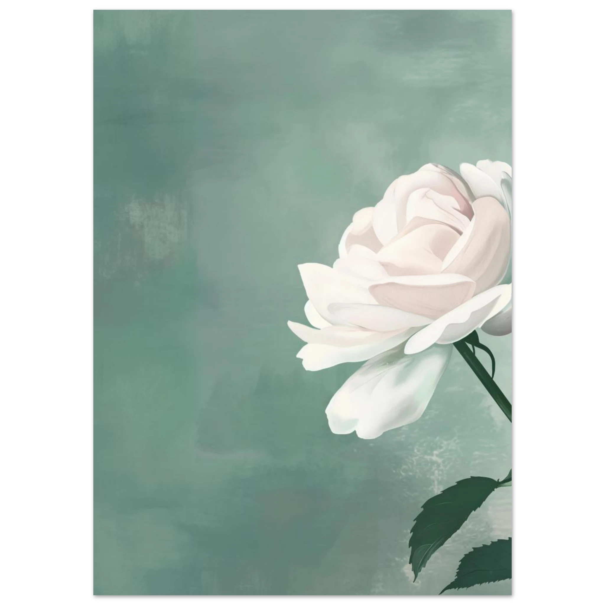 #50 x 70 cm