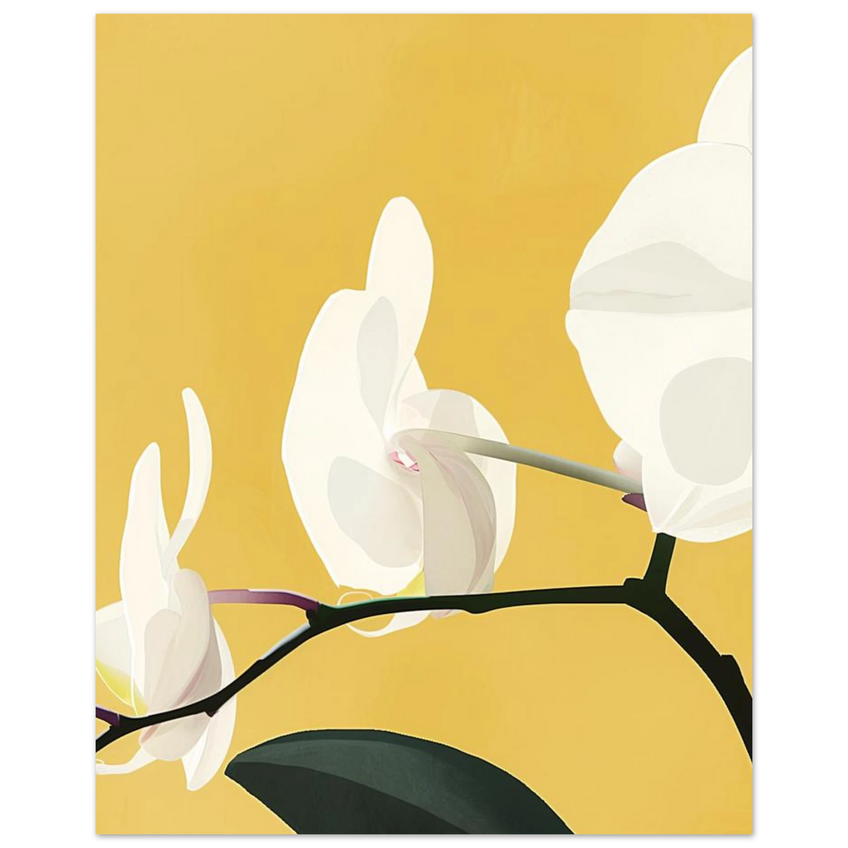 #40 x 50 cm