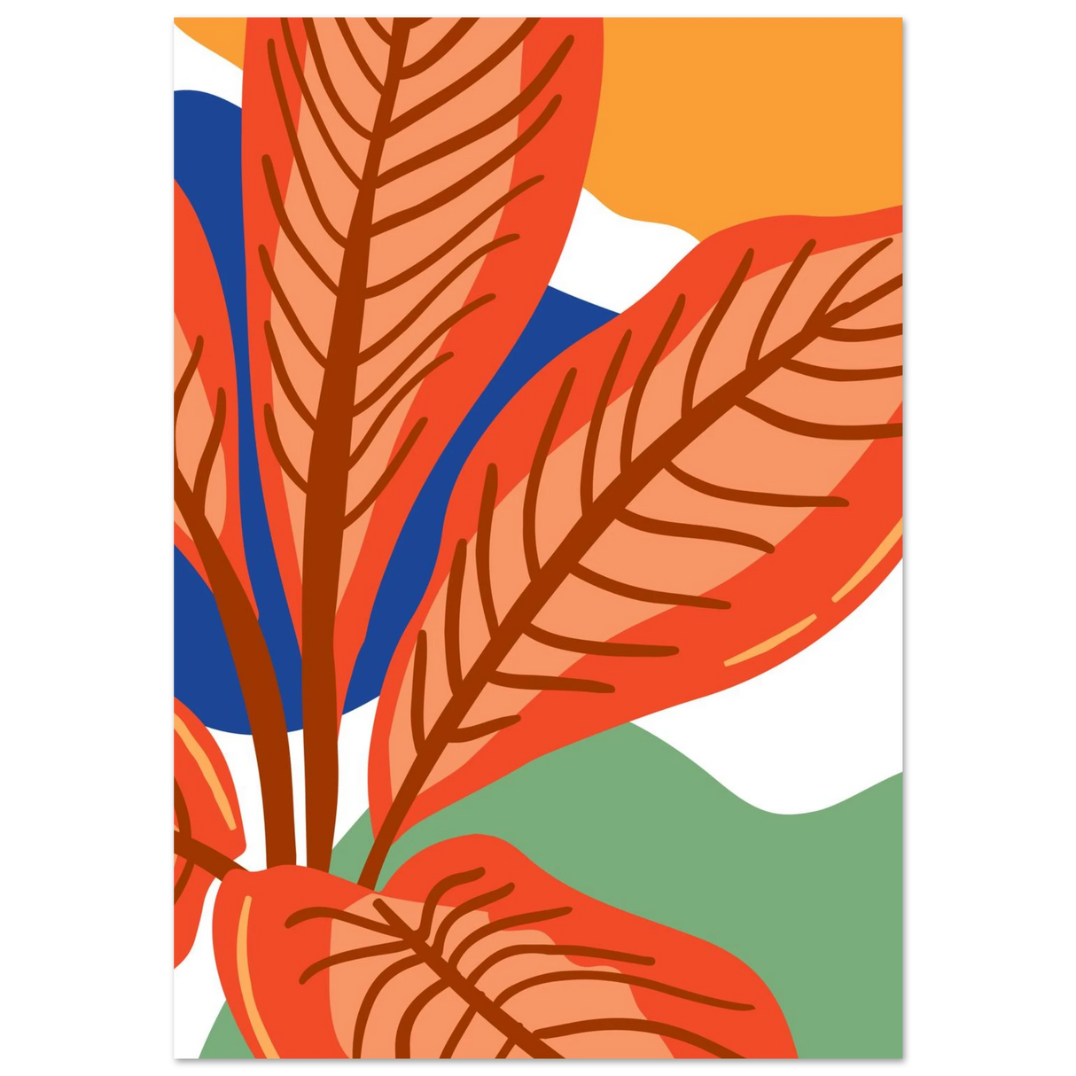 #70 x 100 cm