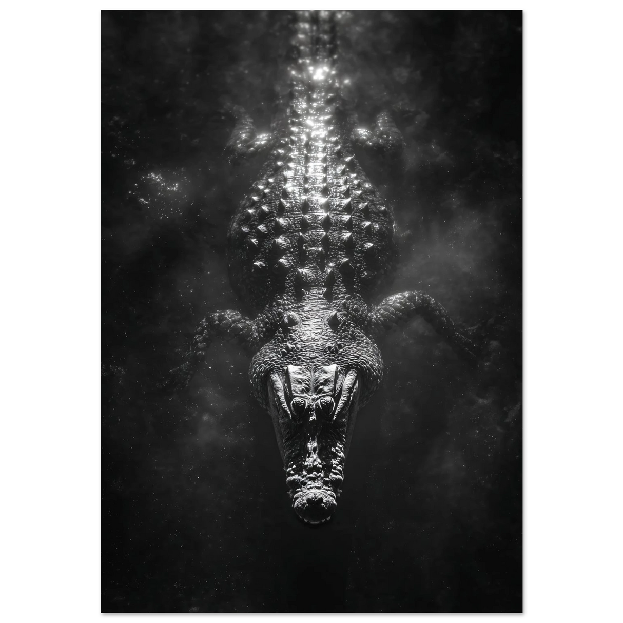 #50 x 70 cm