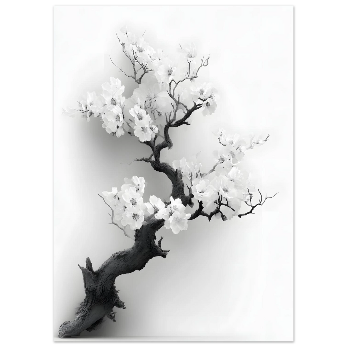 #70 x 100 cm