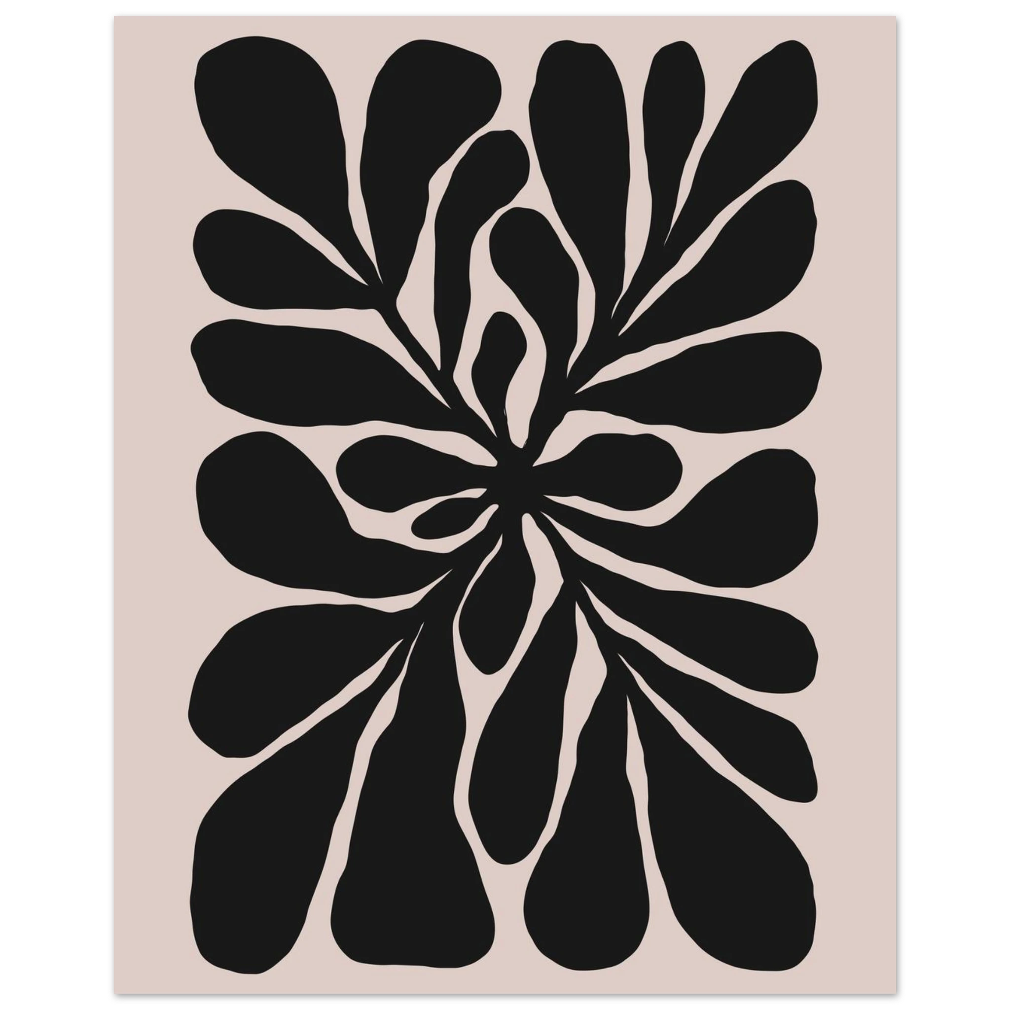 #40 x 50 cm