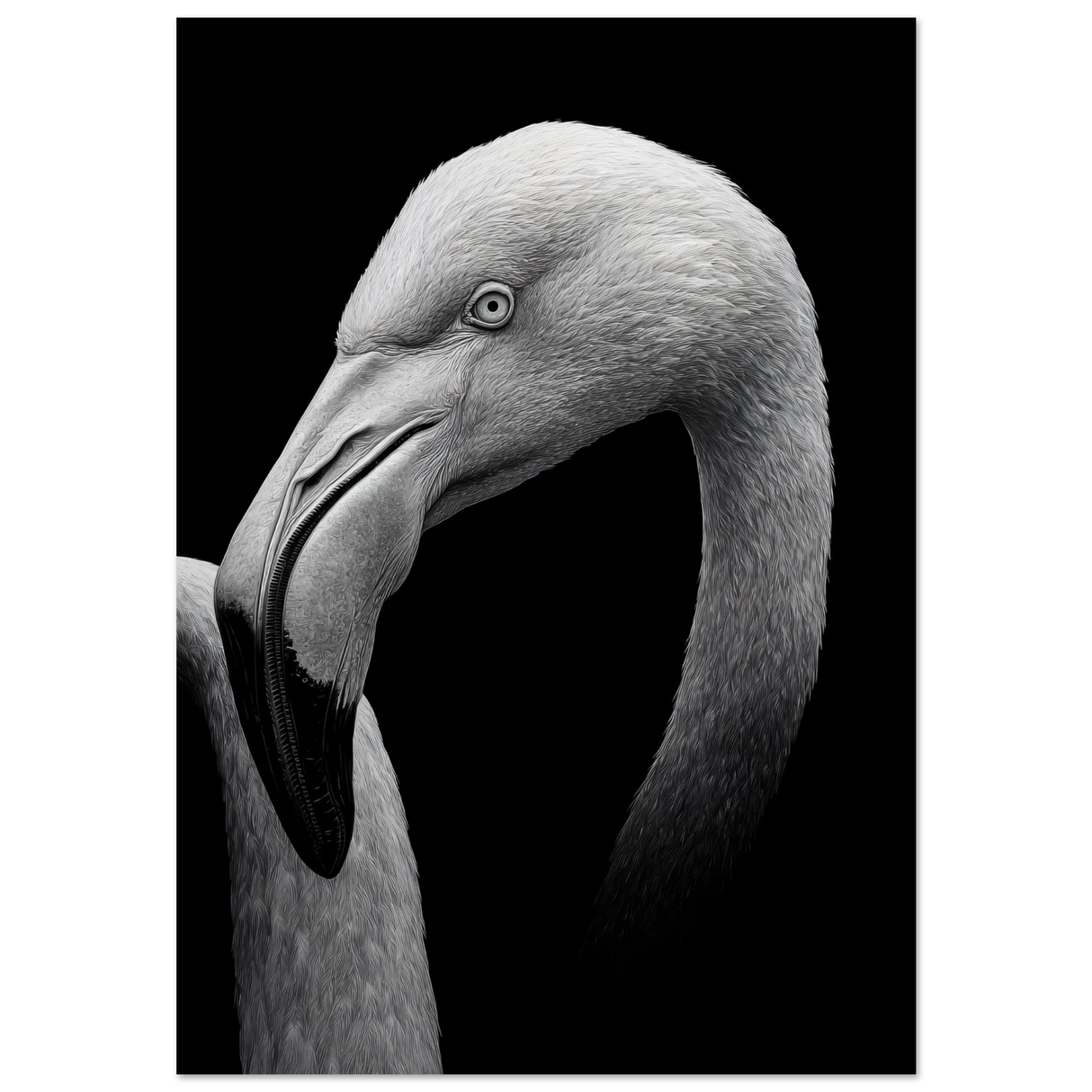 #50 x 70 cm
