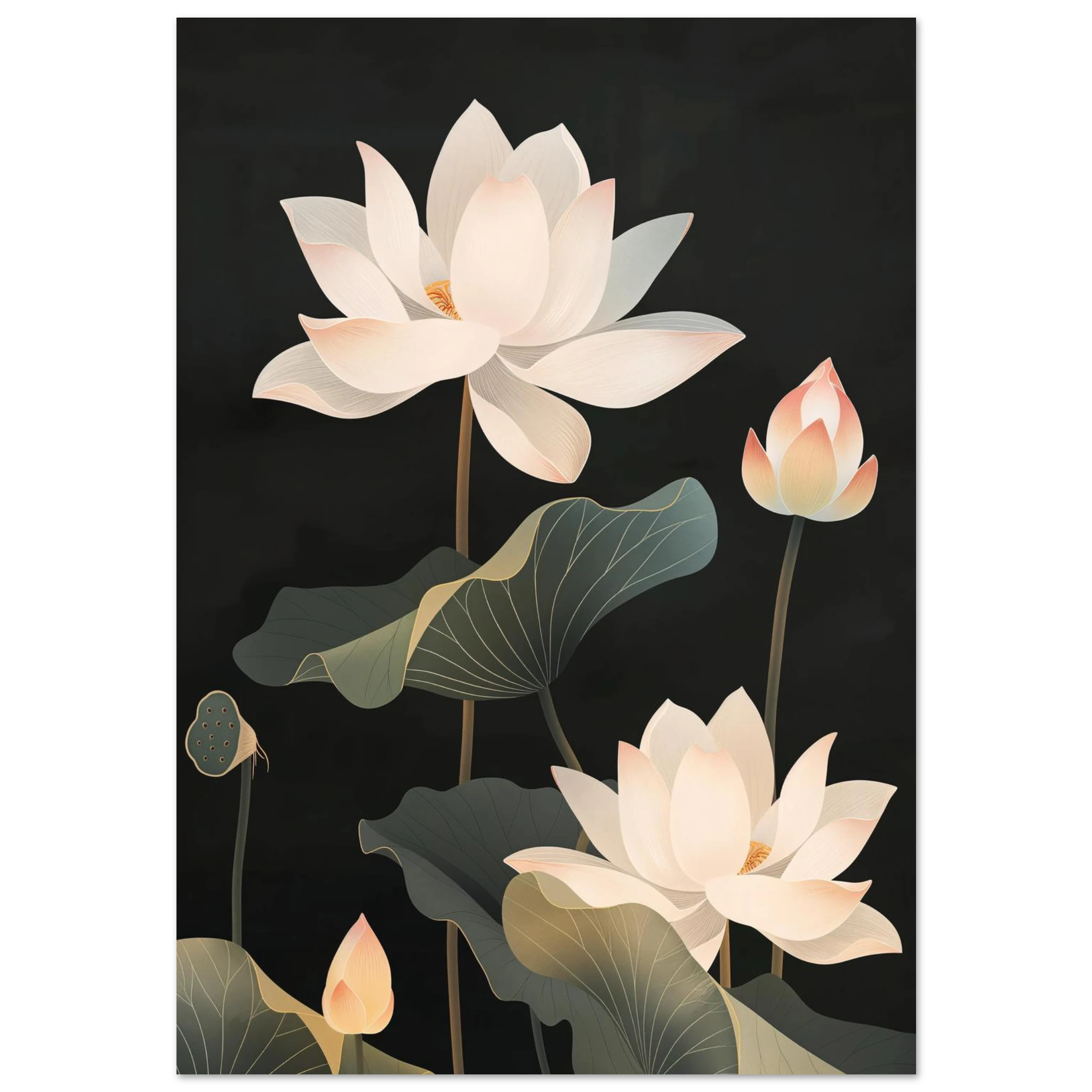 #70 x 100 cm