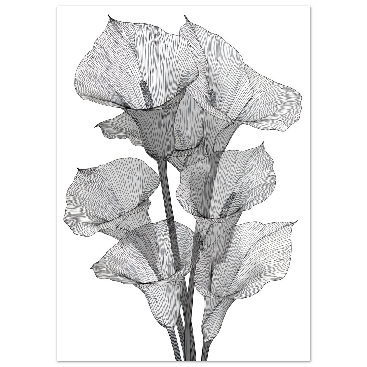 #50 x 70 cm