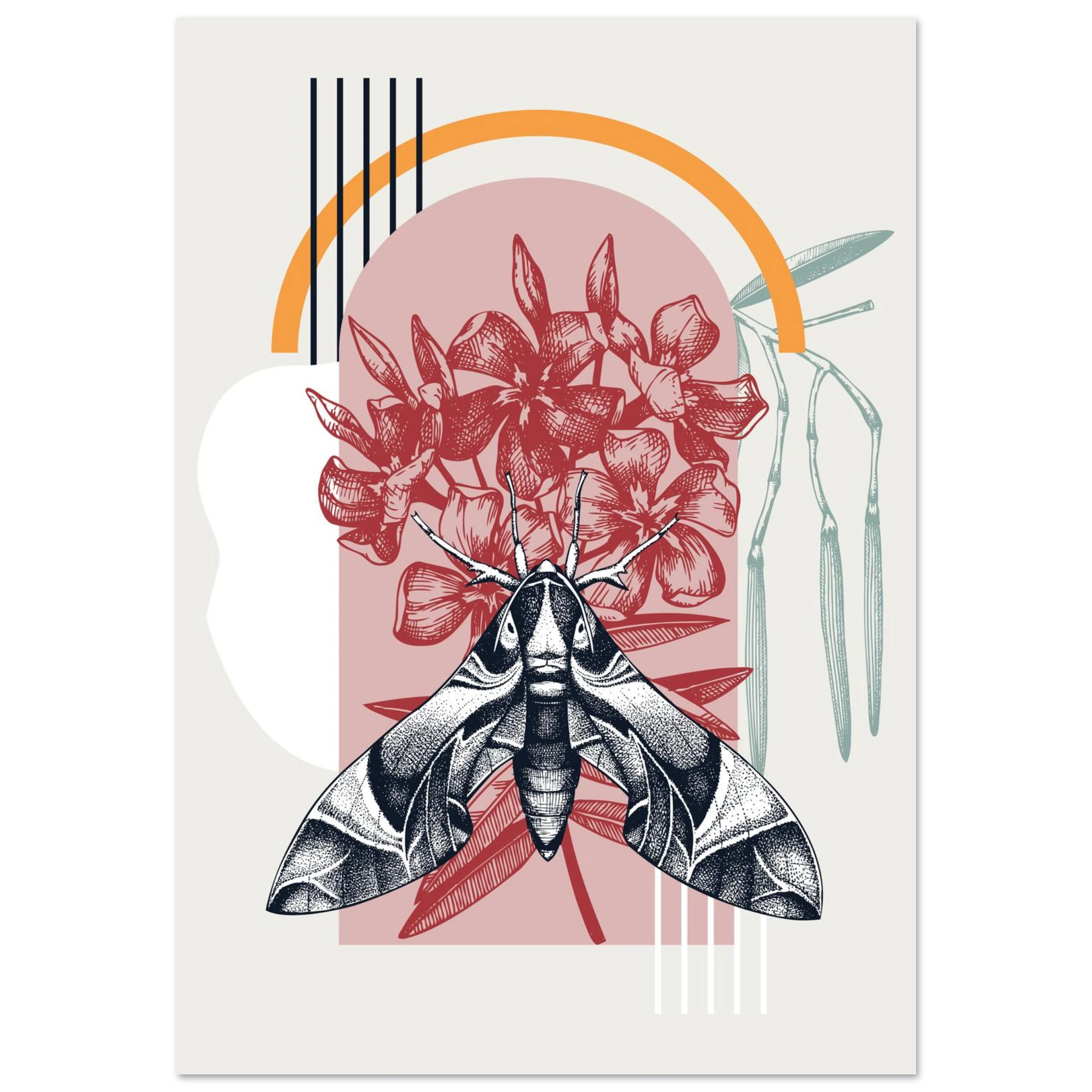 #70 x 100 cm