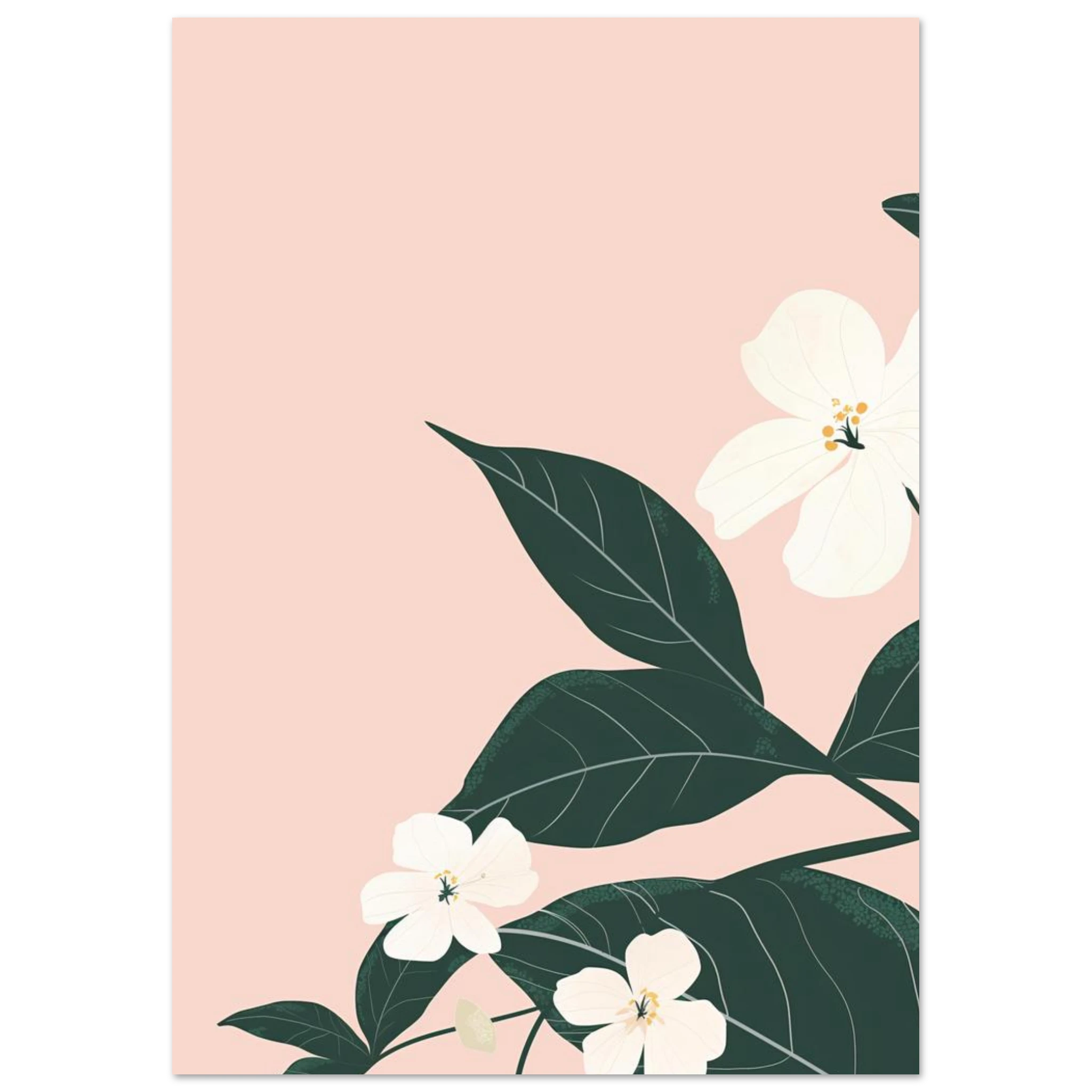 #21 x 29.7 cm
