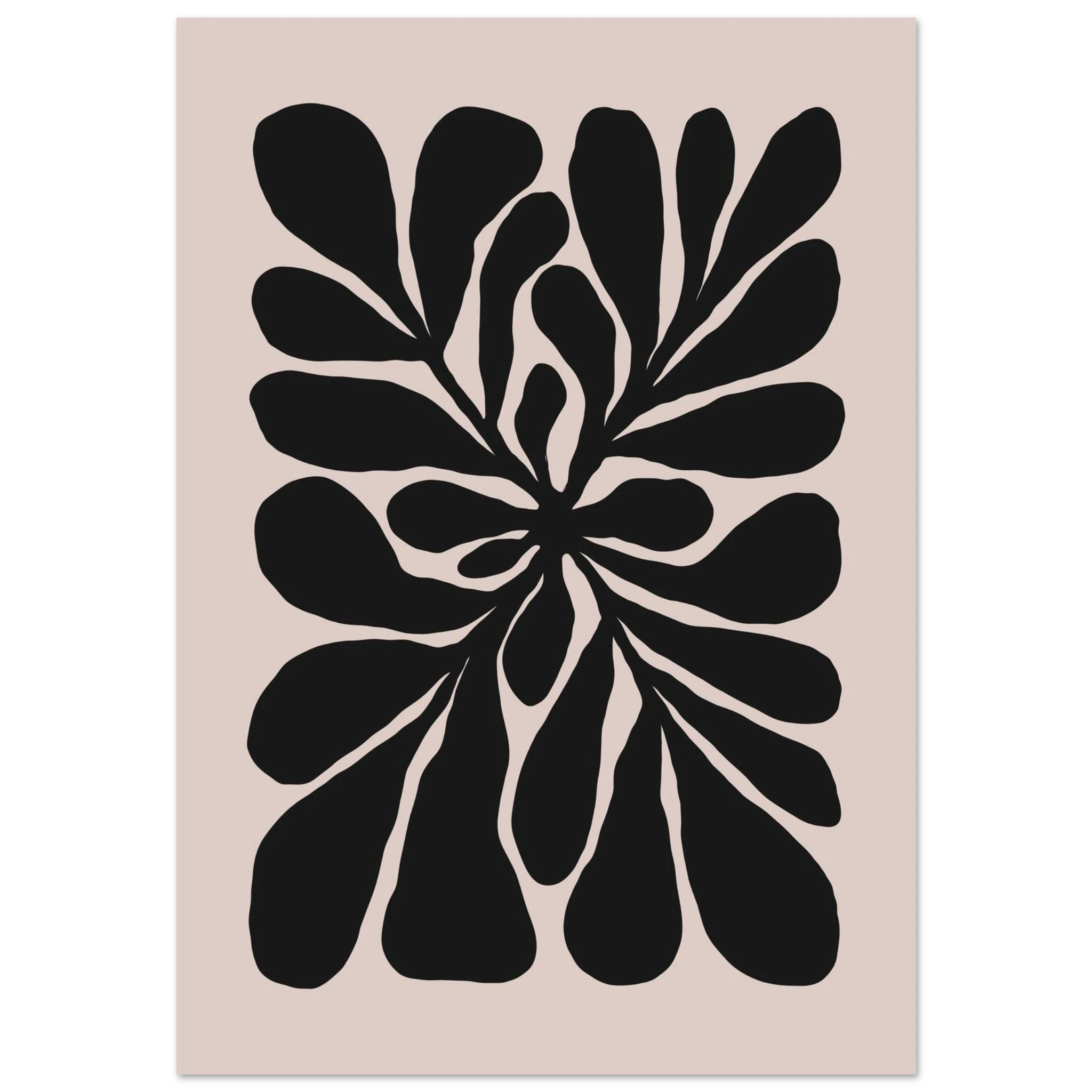 #70 x 100 cm