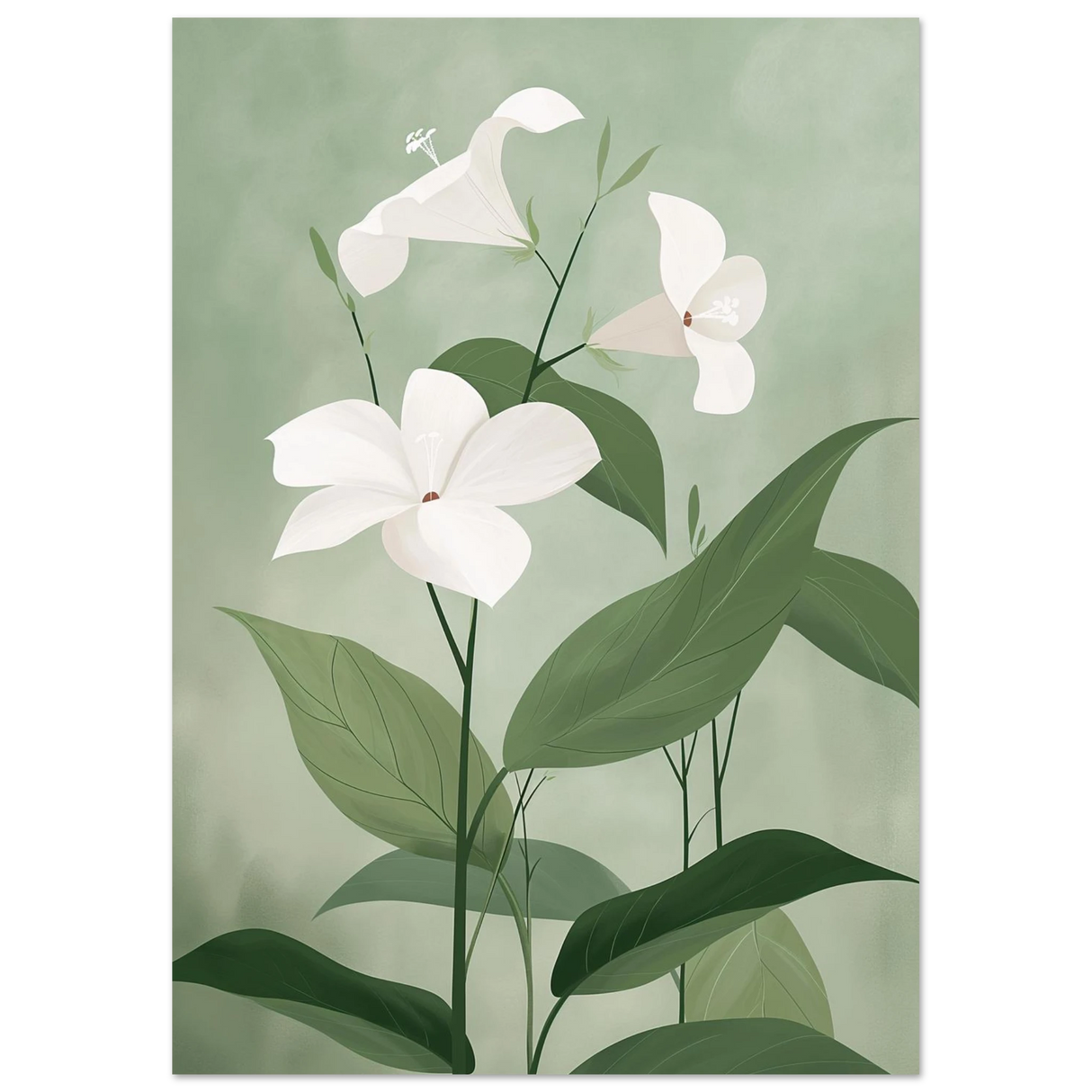 #21 x 29.7 cm