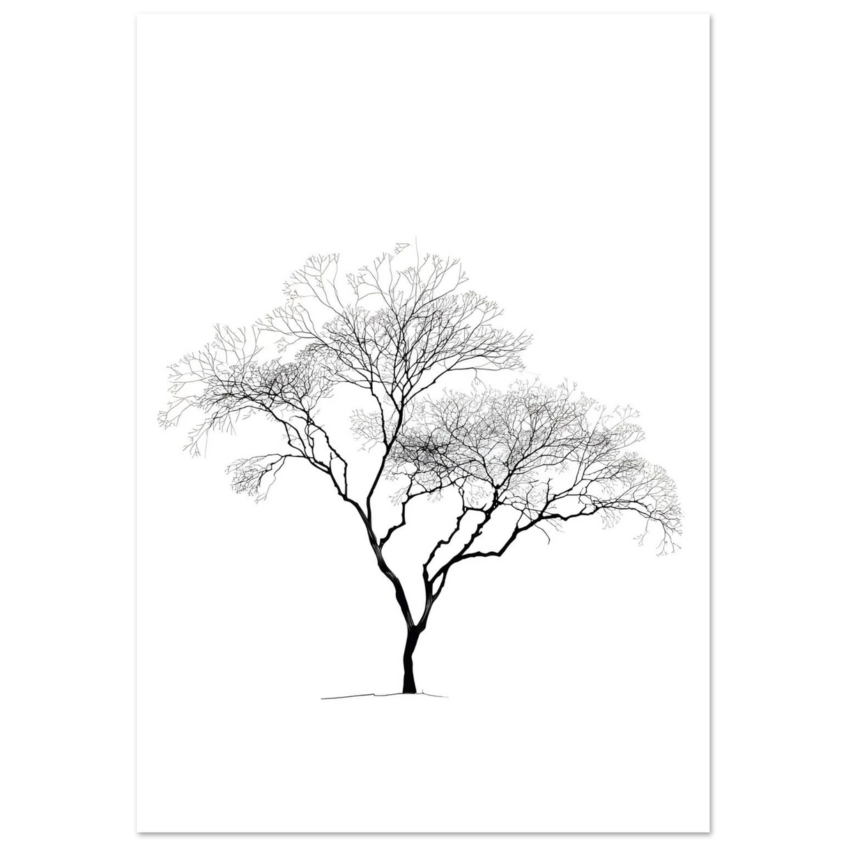 #40 x 50 cm