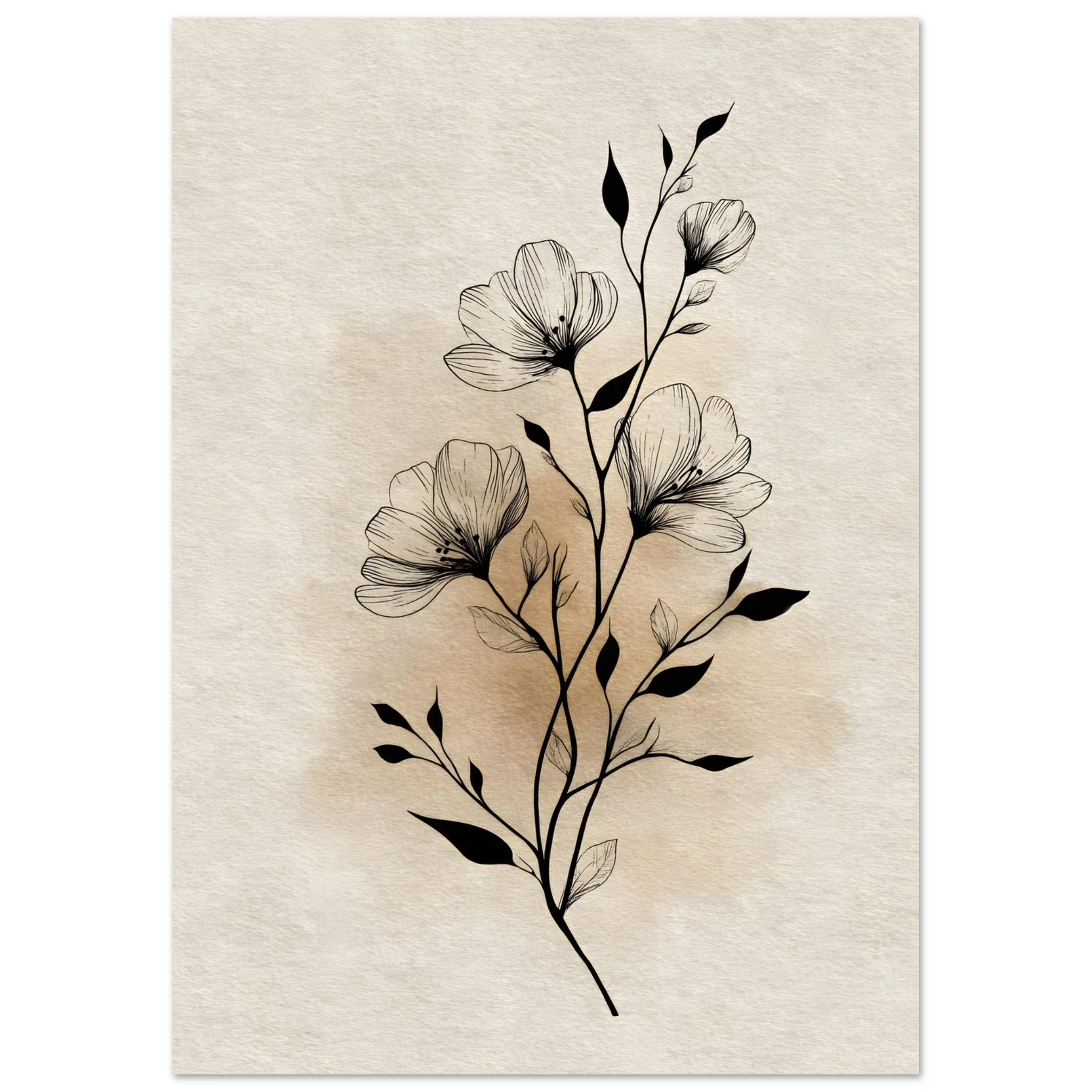 #21 x 29.7 cm