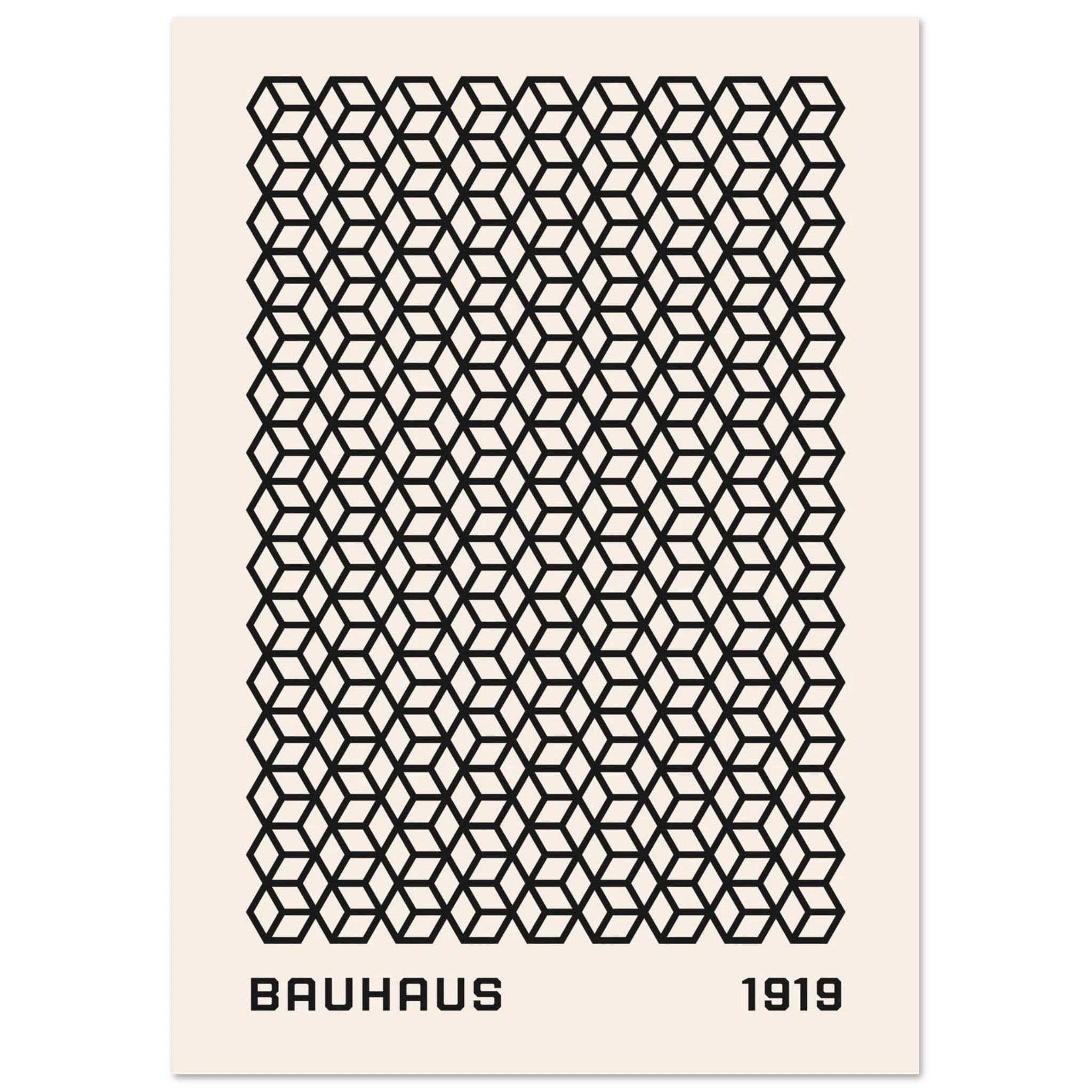 #21 x 29.7 cm