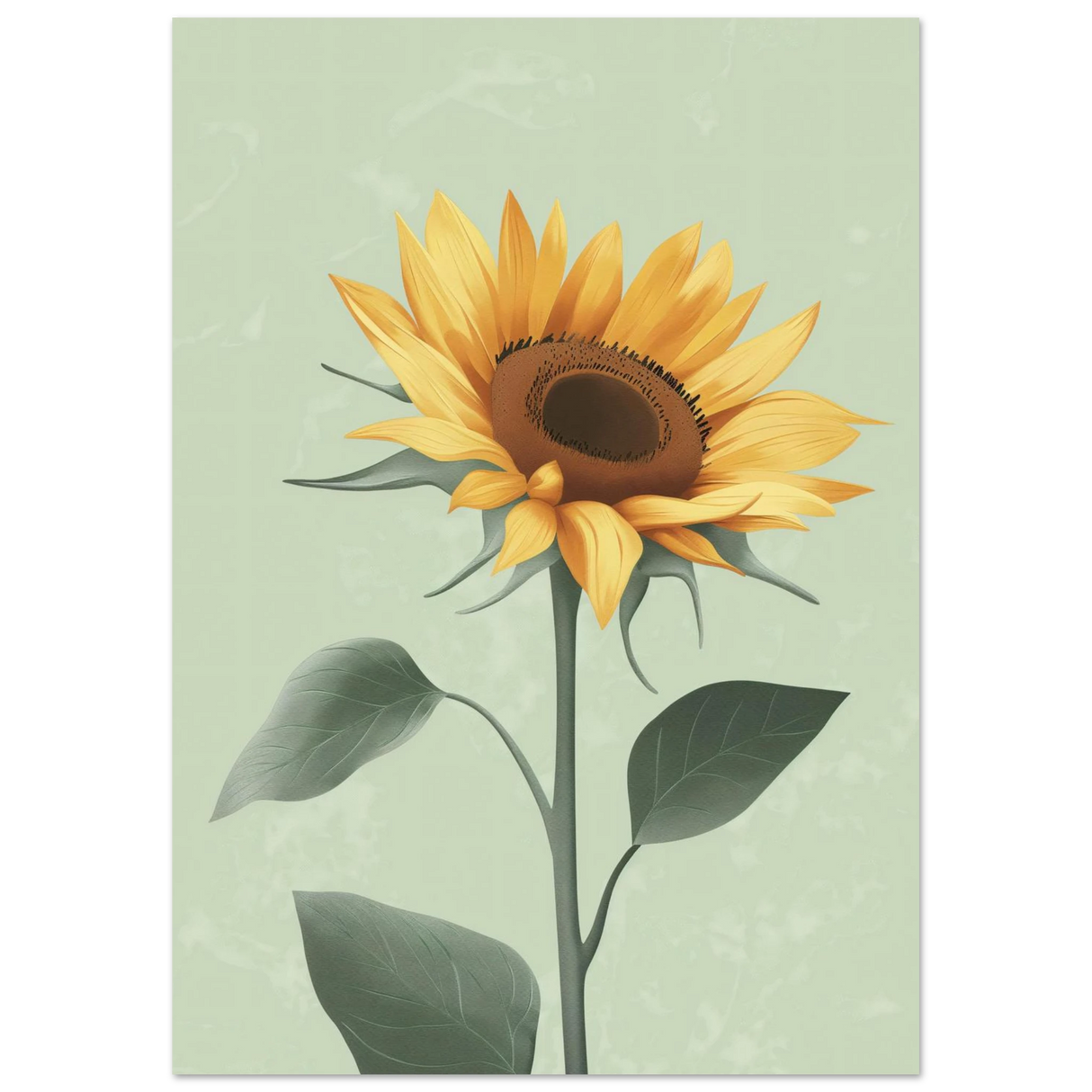 #21 x 29.7 cm
